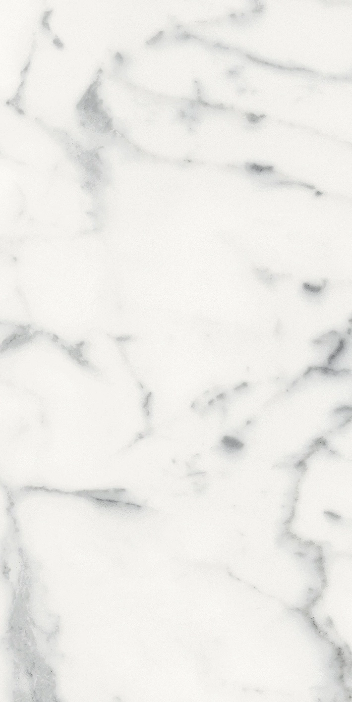 Florim Rex Origines De Rex Blanc Matte 30X60 Rett 769848