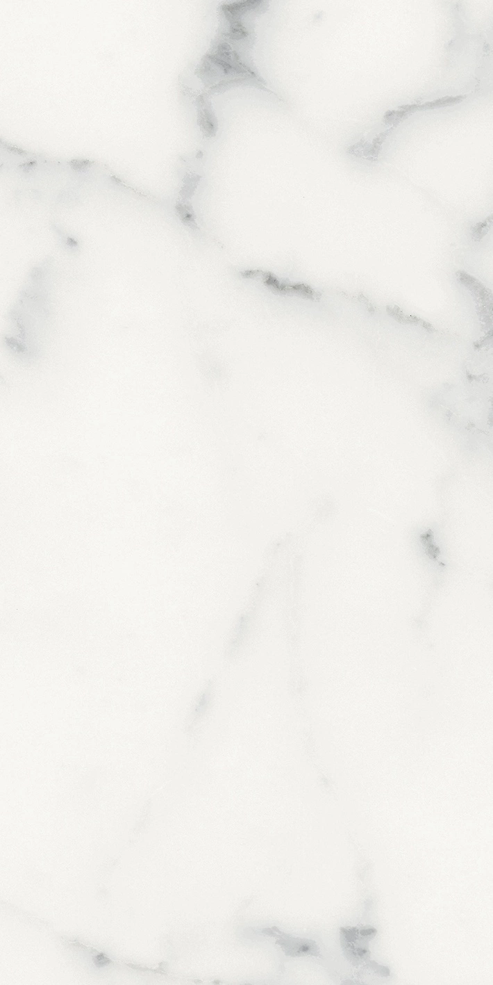 Florim Rex Origines De Rex Blanc Matte 30X60 Rett 769848