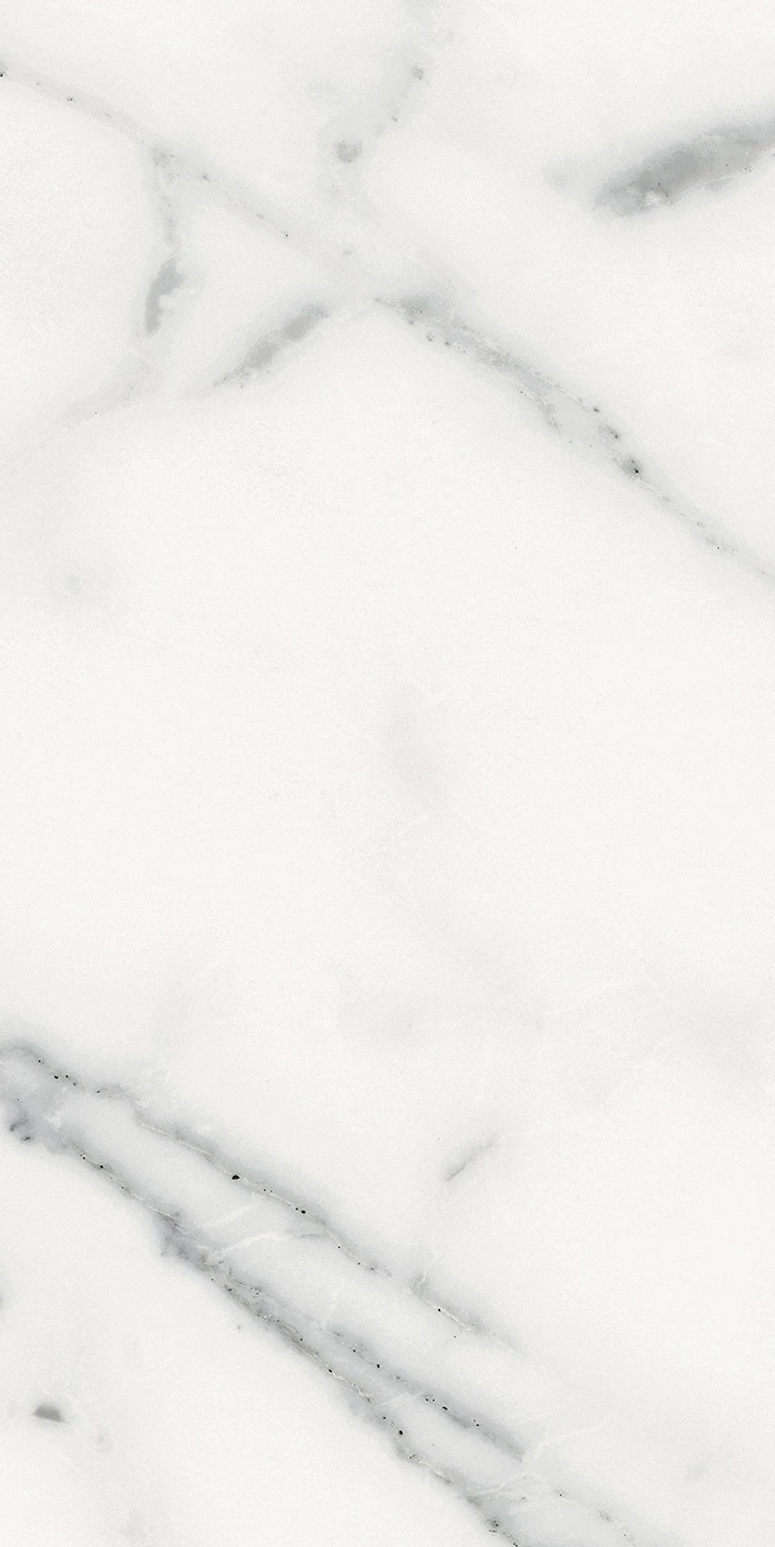 Florim Rex Origines De Rex Blanc Matte 30X60 Rett 769848