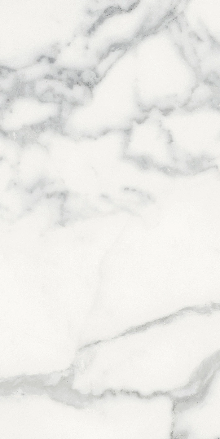 Florim Rex Origines De Rex Blanc Matte 30X60 Rett 769848