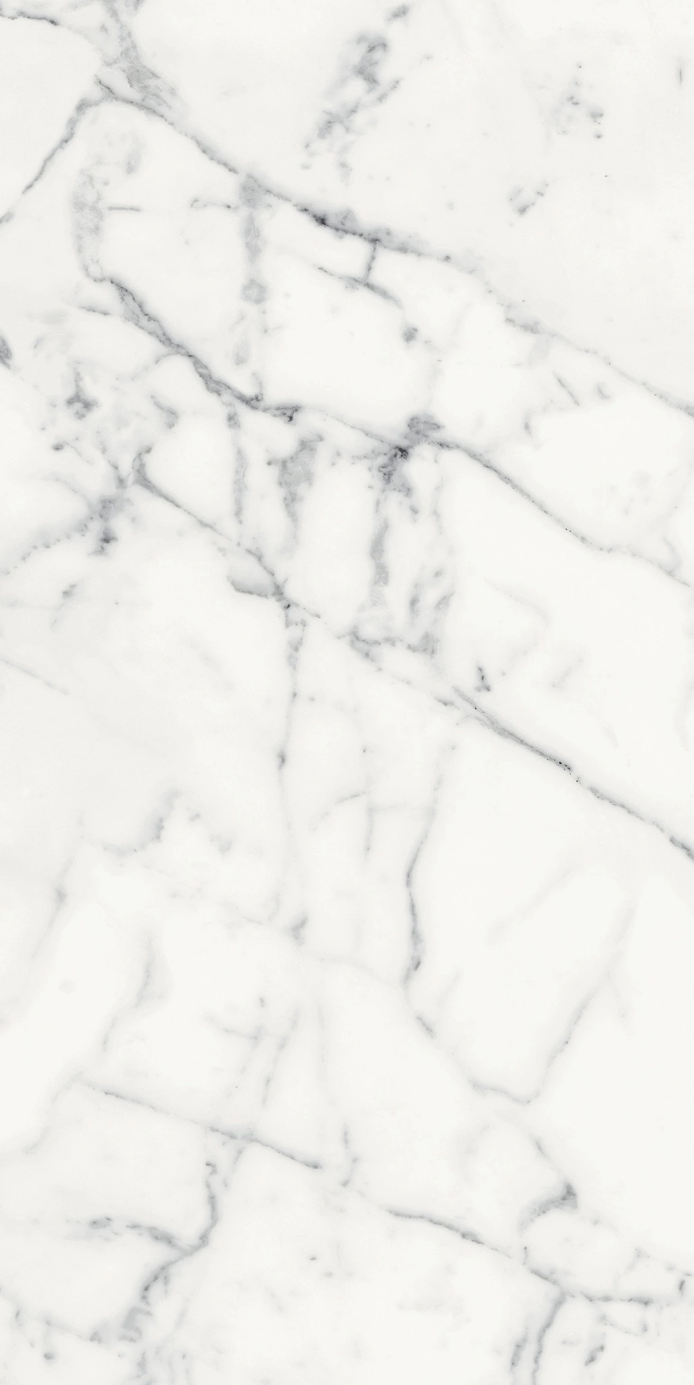 Florim Rex Origines De Rex Blanc Matte 60X120 Rett 769856