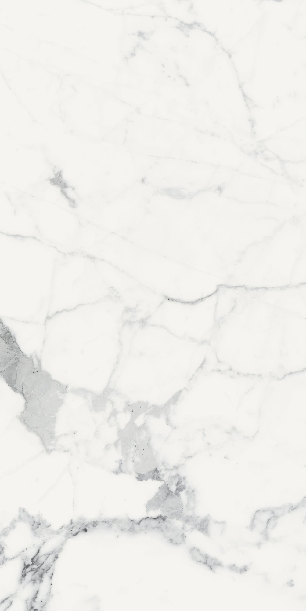 Florim Rex Origines De Rex Blanc Matte 60X120 Rett 769856