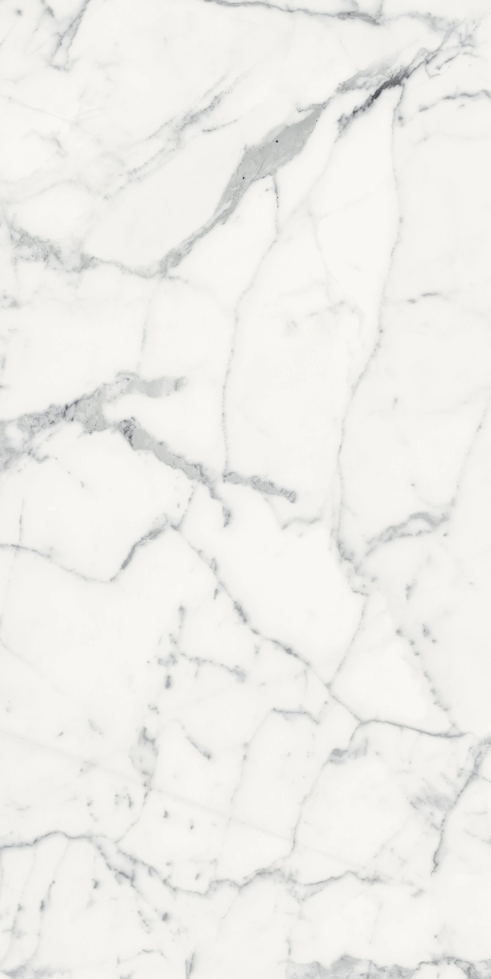 Florim Rex Origines De Rex Blanc Matte 60X120 Rett 769856