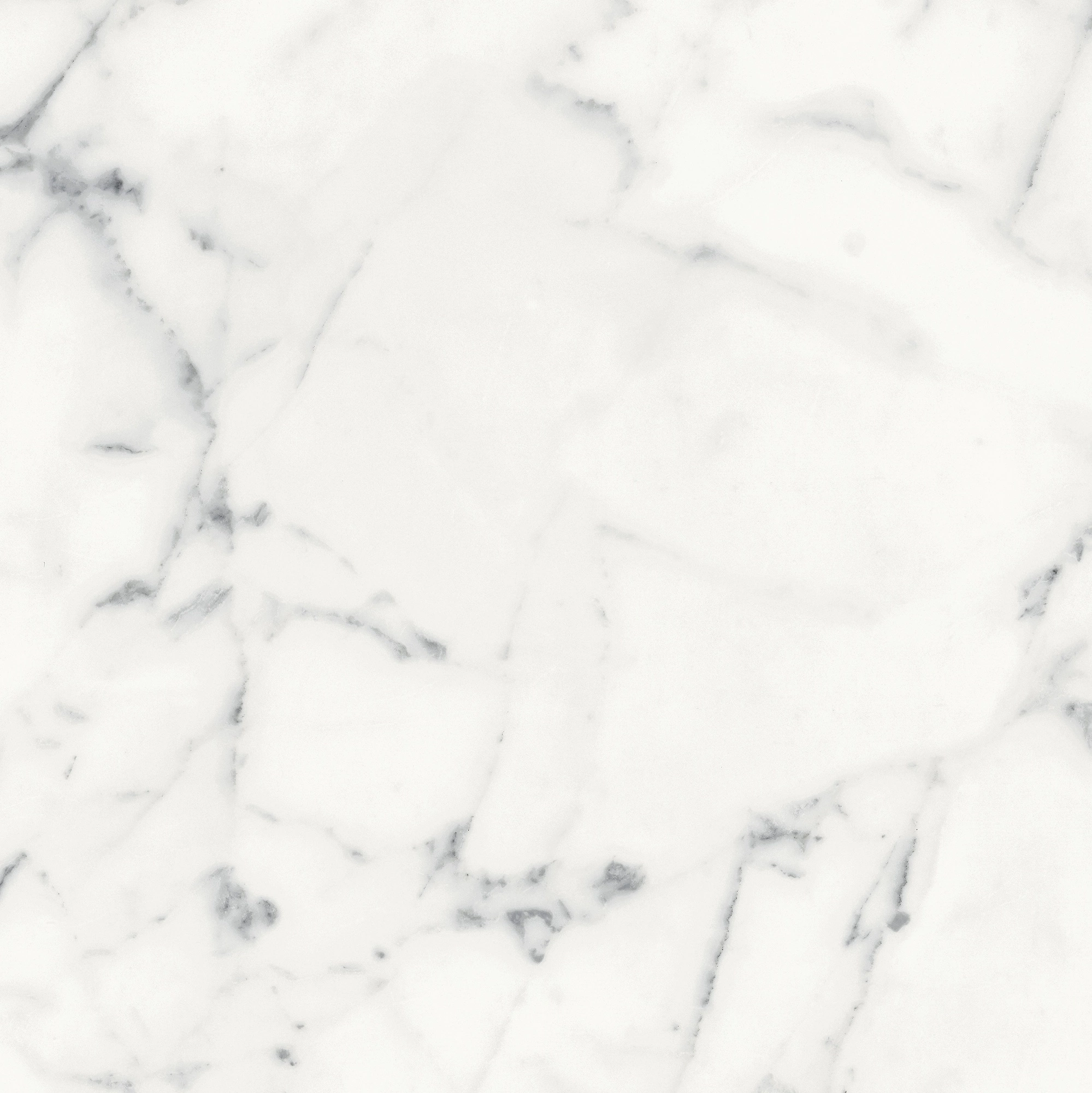 Florim Rex Origines De Rex Blanc Matte 60X60 Rett 769840