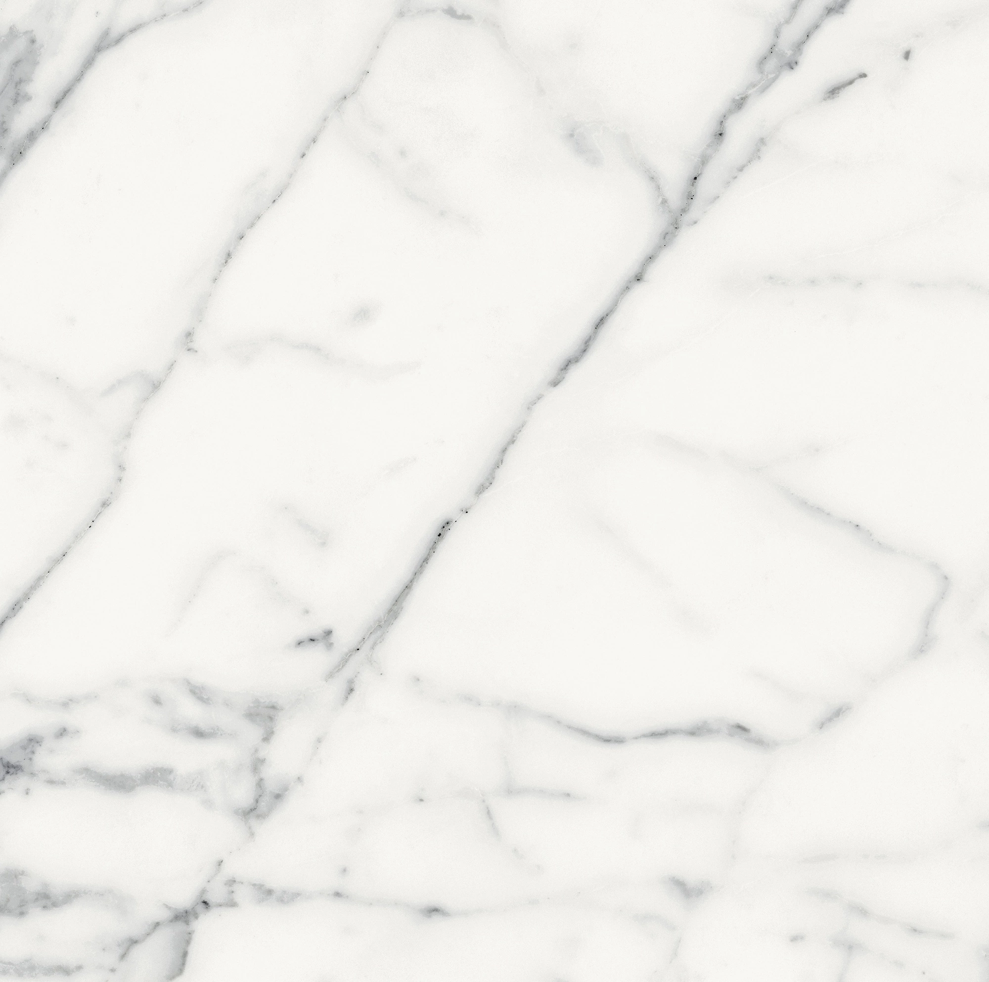 Florim Rex Origines De Rex Blanc Matte 60X60 Rett 769840