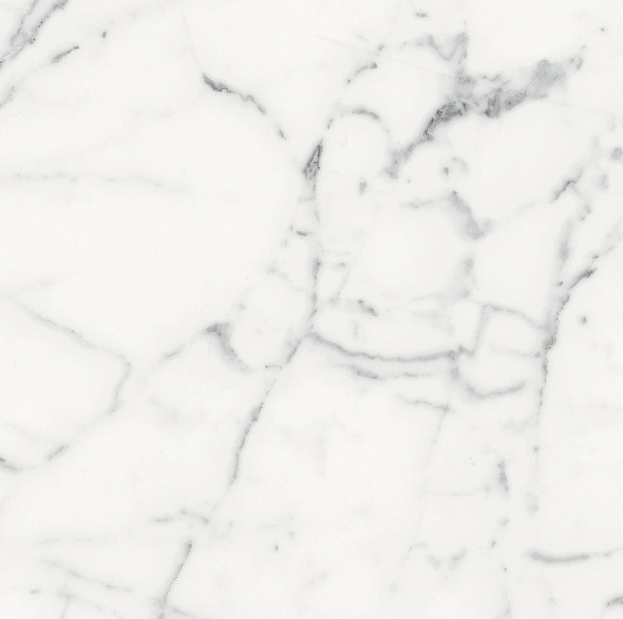 Florim Rex Origines De Rex Blanc Matte 60X60 Rett 769840