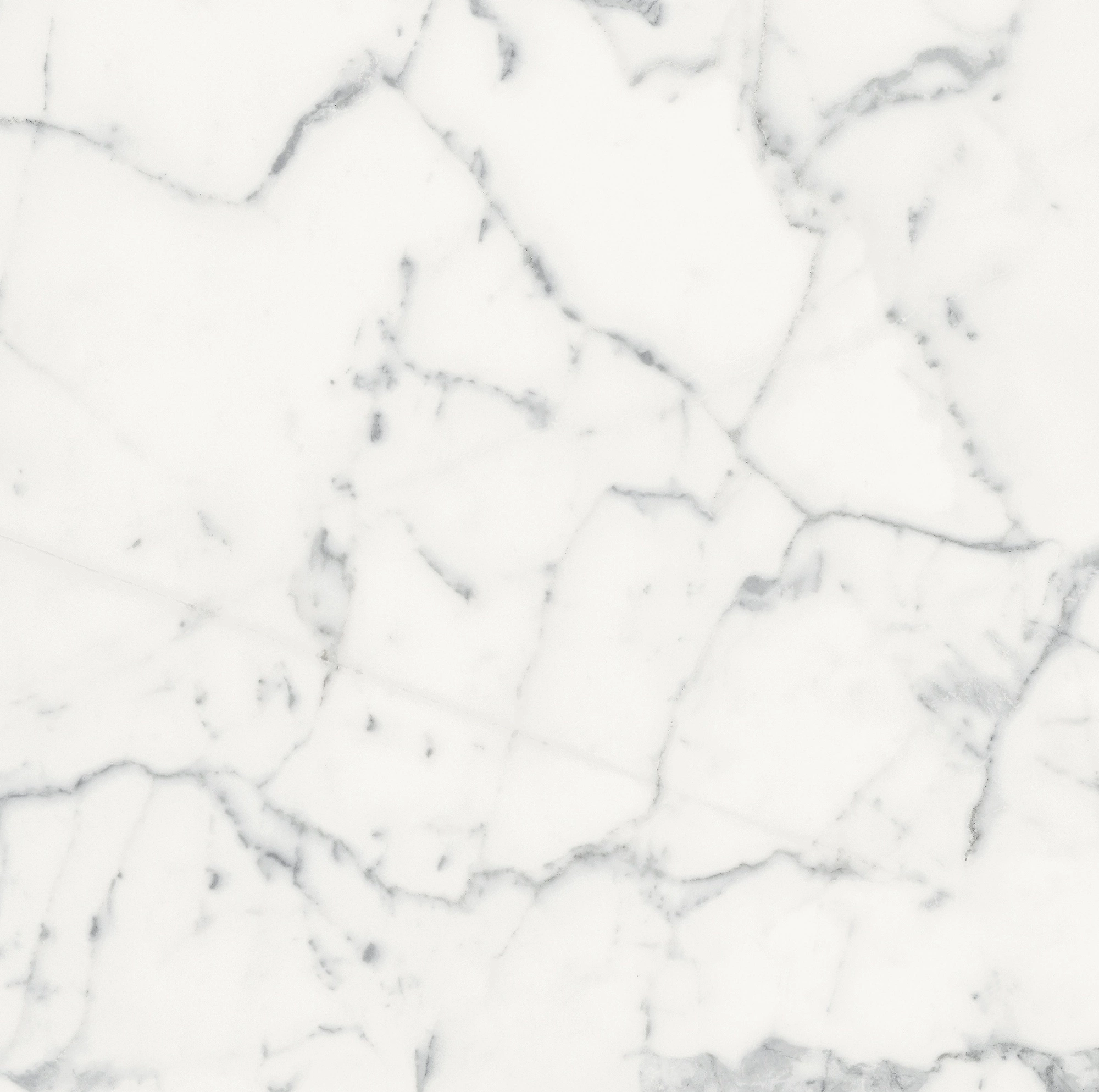 Florim Rex Origines De Rex Blanc Matte 60X60 Rett 769840