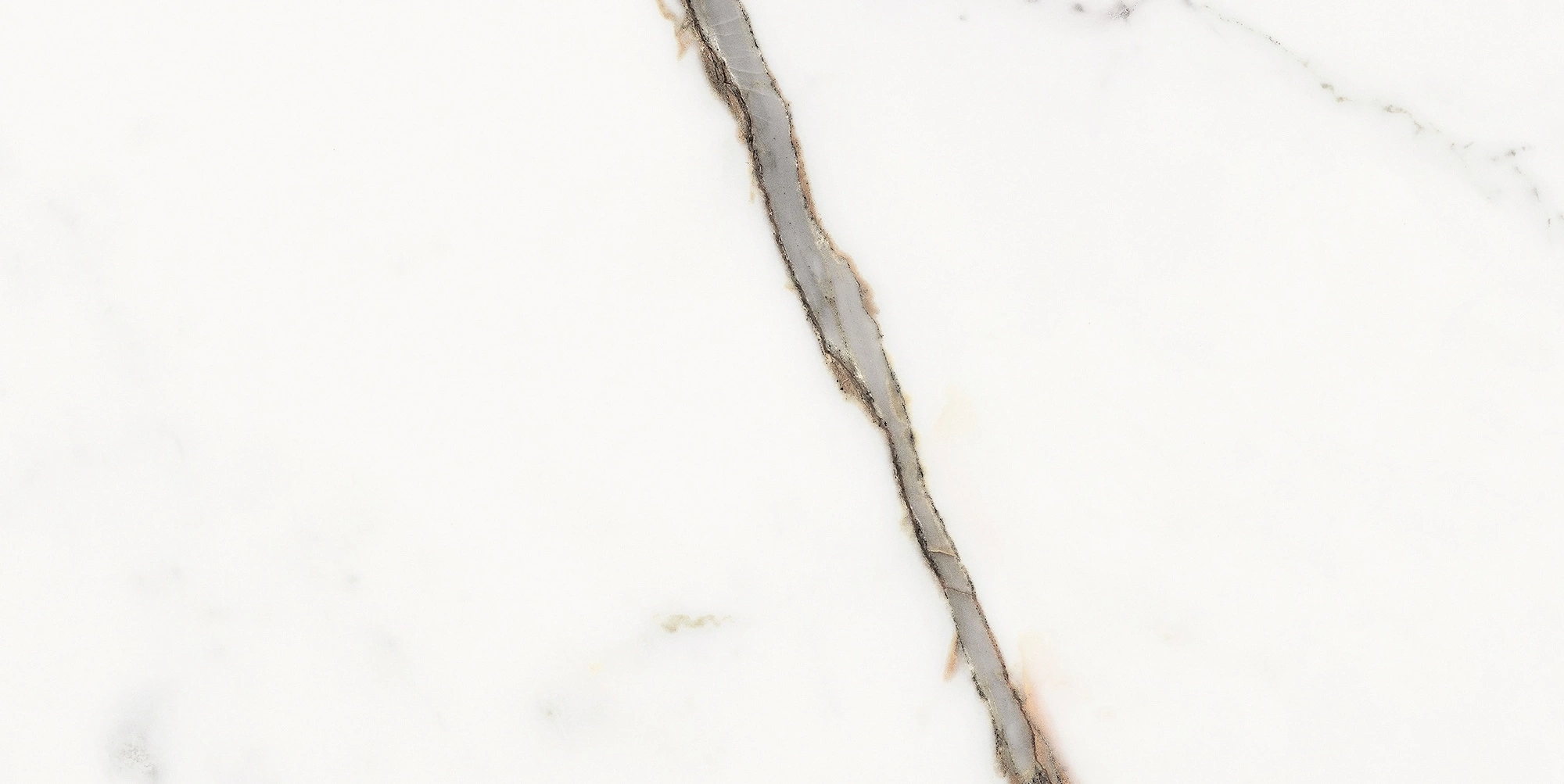 Florim Rex Origines De Rex Or Glossy 30X60 Rett 769850