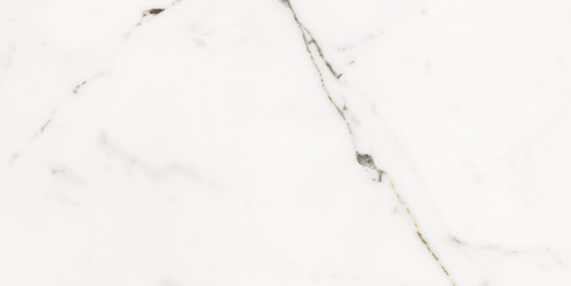 Florim Rex Origines De Rex Or Glossy 30X60 Rett 769850