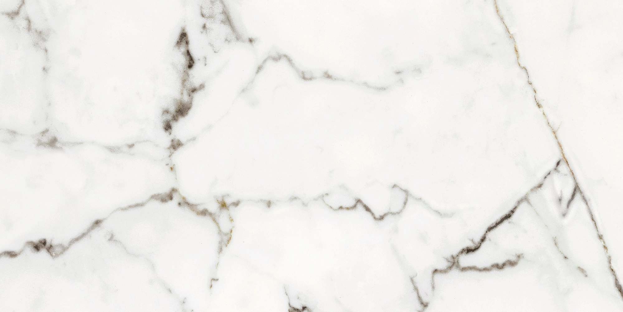 Florim Rex Origines De Rex Or Glossy 30X60 Rett 769850