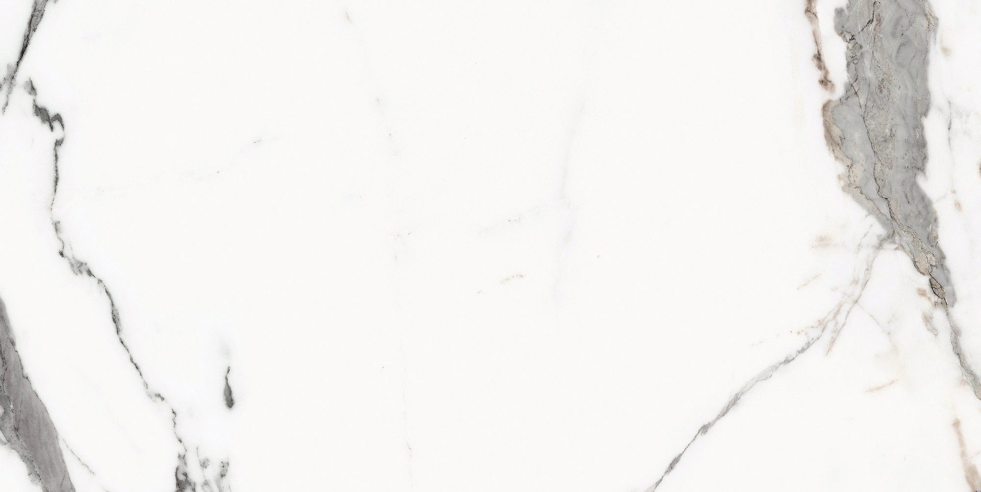 Florim Rex Origines De Rex Or Glossy 30X60 Rett 769850