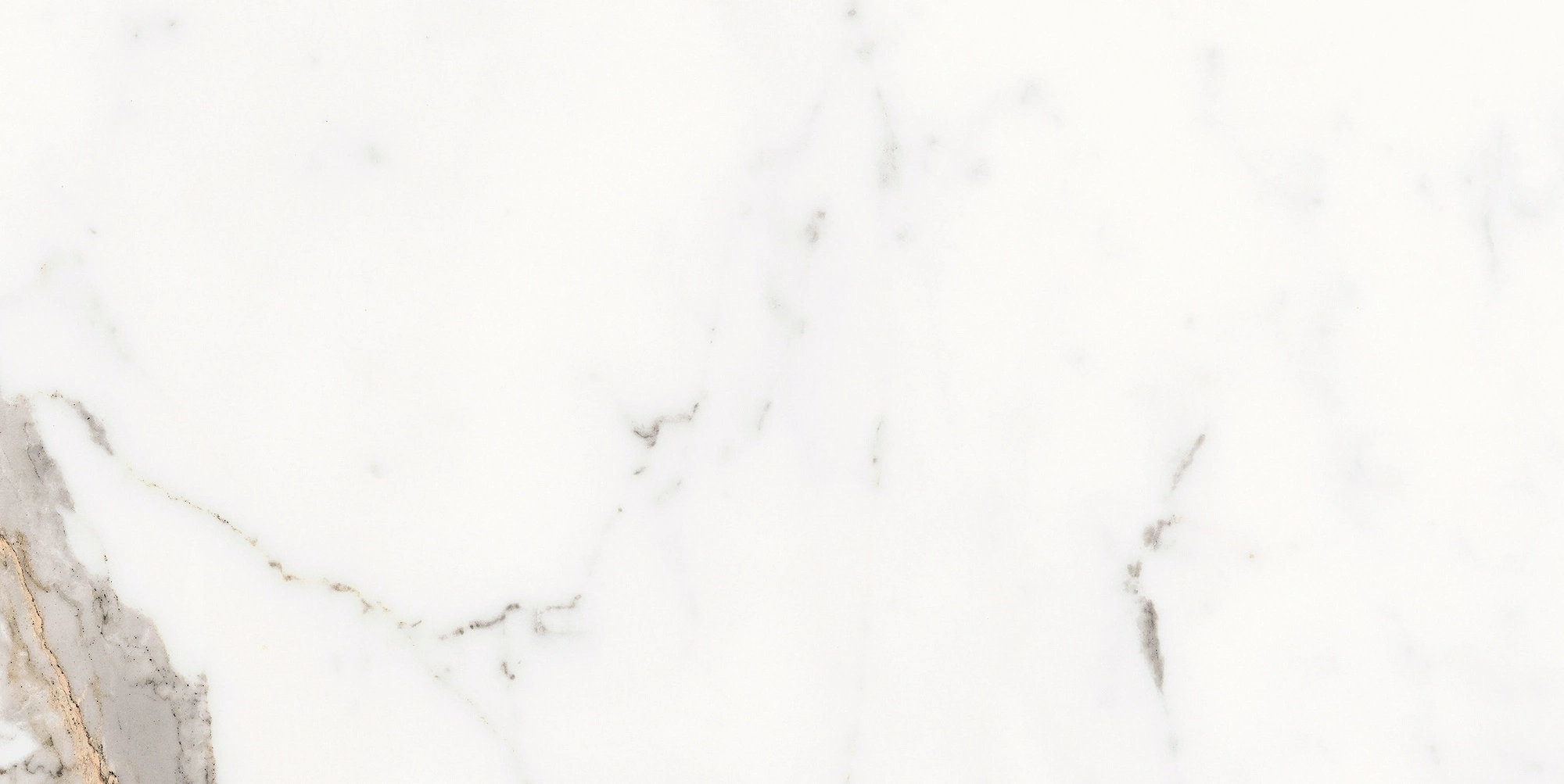 Florim Rex Origines De Rex Or Glossy 30X60 Rett 769850