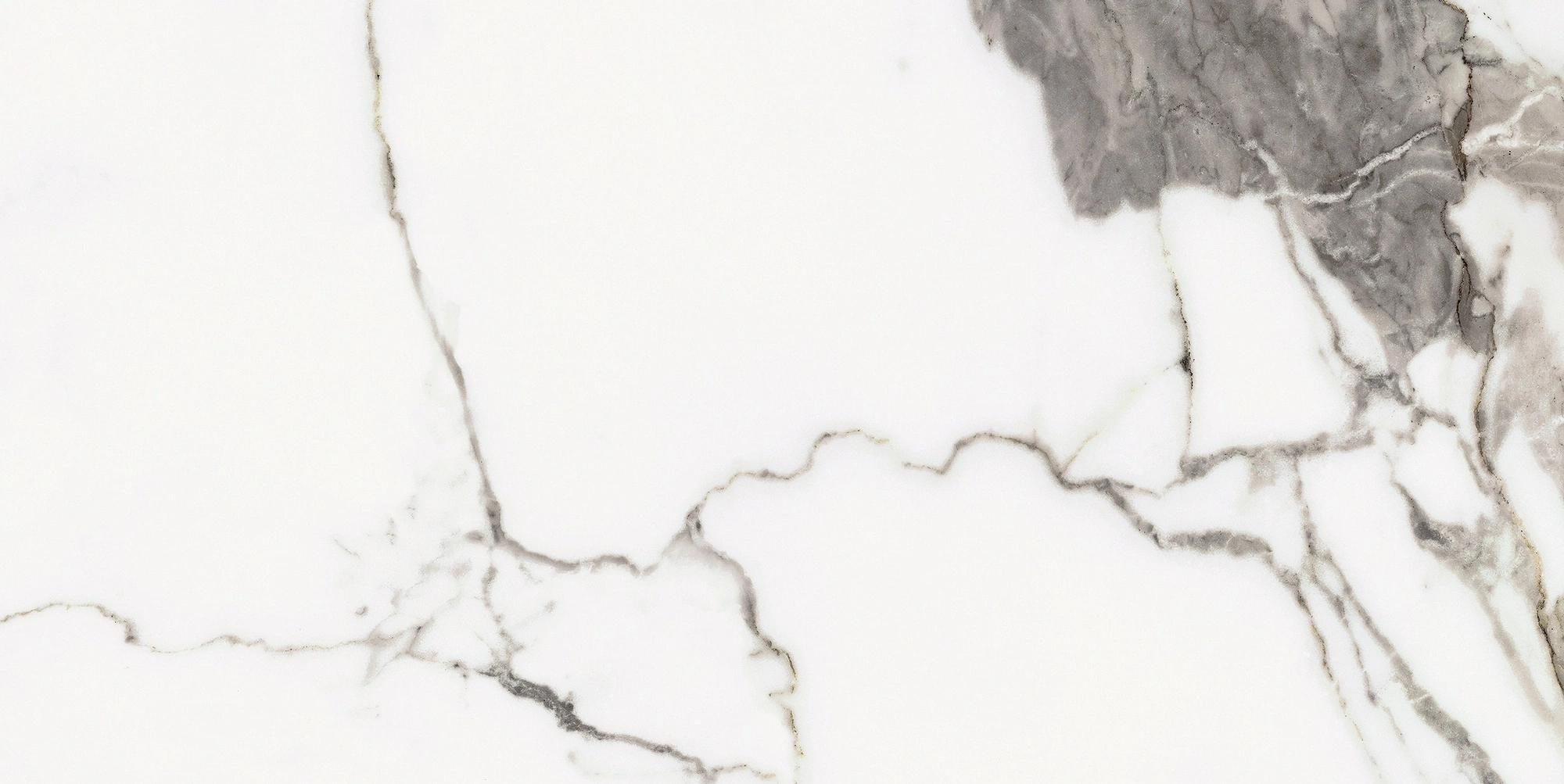 Florim Rex Origines De Rex Or Glossy 30X60 Rett 769850