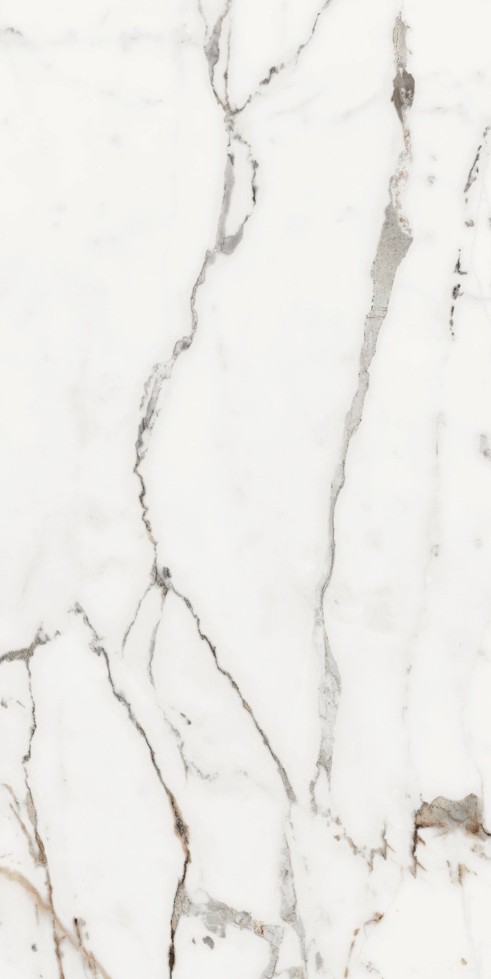 Florim Rex Origines De Rex Or Glossy 60X120 Rett 769858