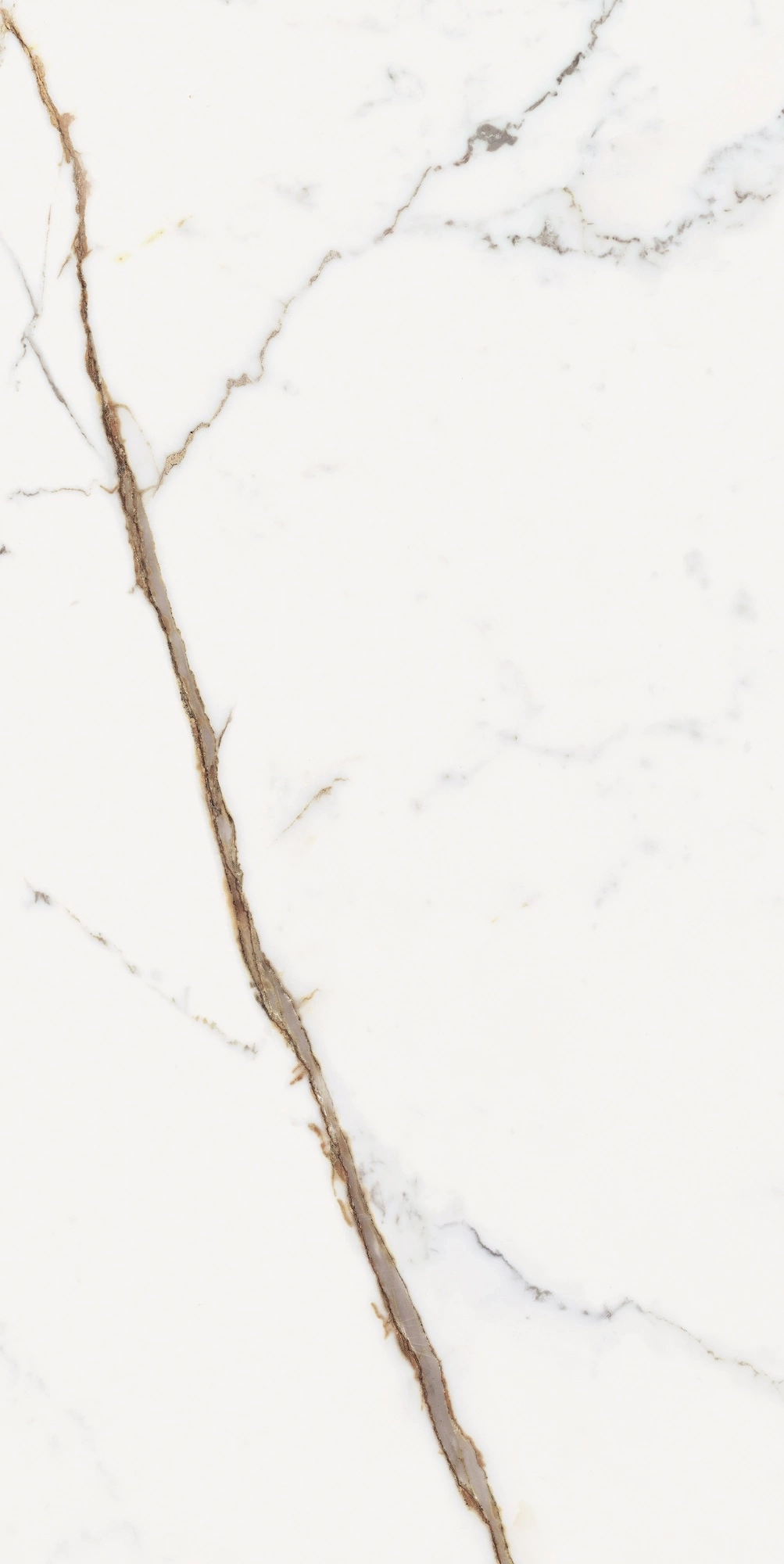 Florim Rex Origines De Rex Or Glossy 60X120 Rett 769858