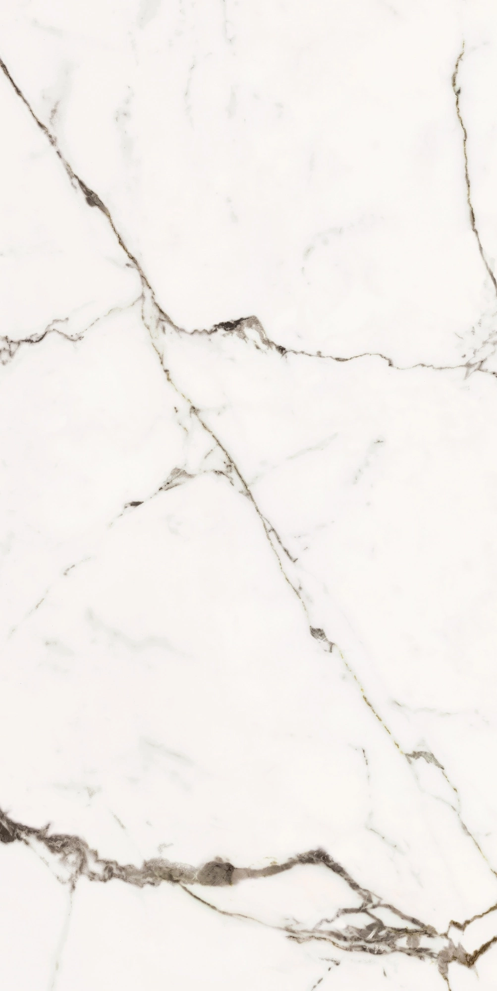 Florim Rex Origines De Rex Or Glossy 60X120 Rett 769858