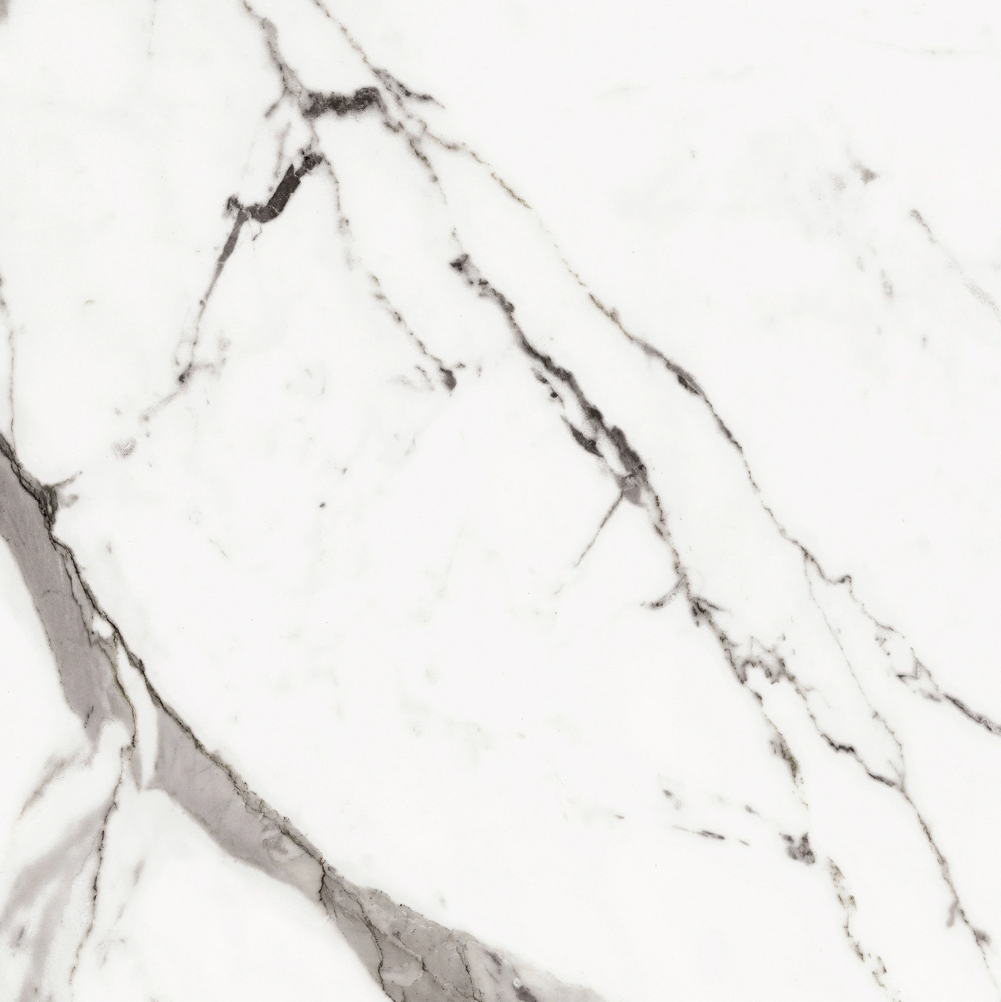 Florim Rex Origines De Rex Or Glossy 60X60 Rett 769842