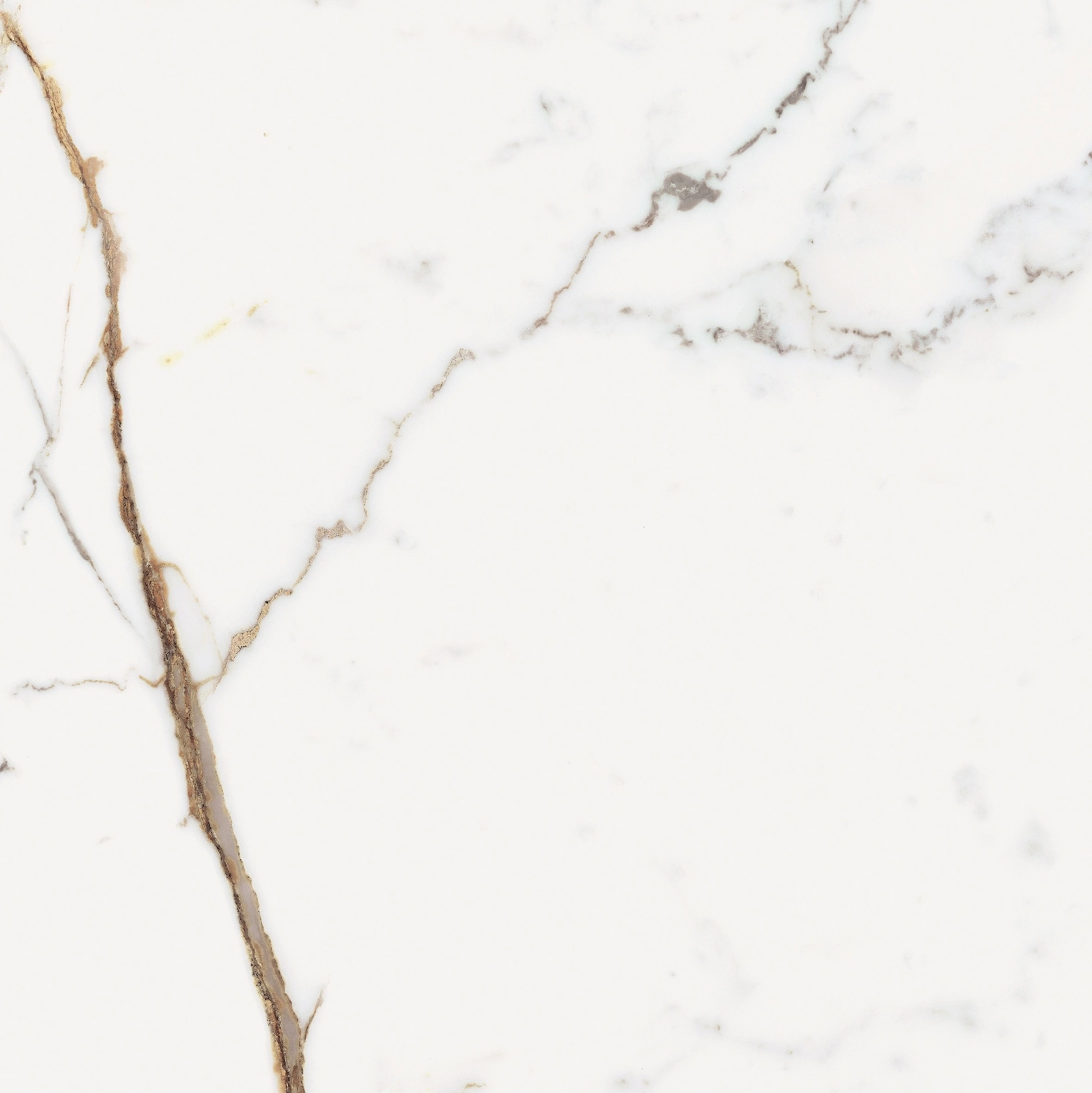 Florim Rex Origines De Rex Or Glossy 60X60 Rett 769842