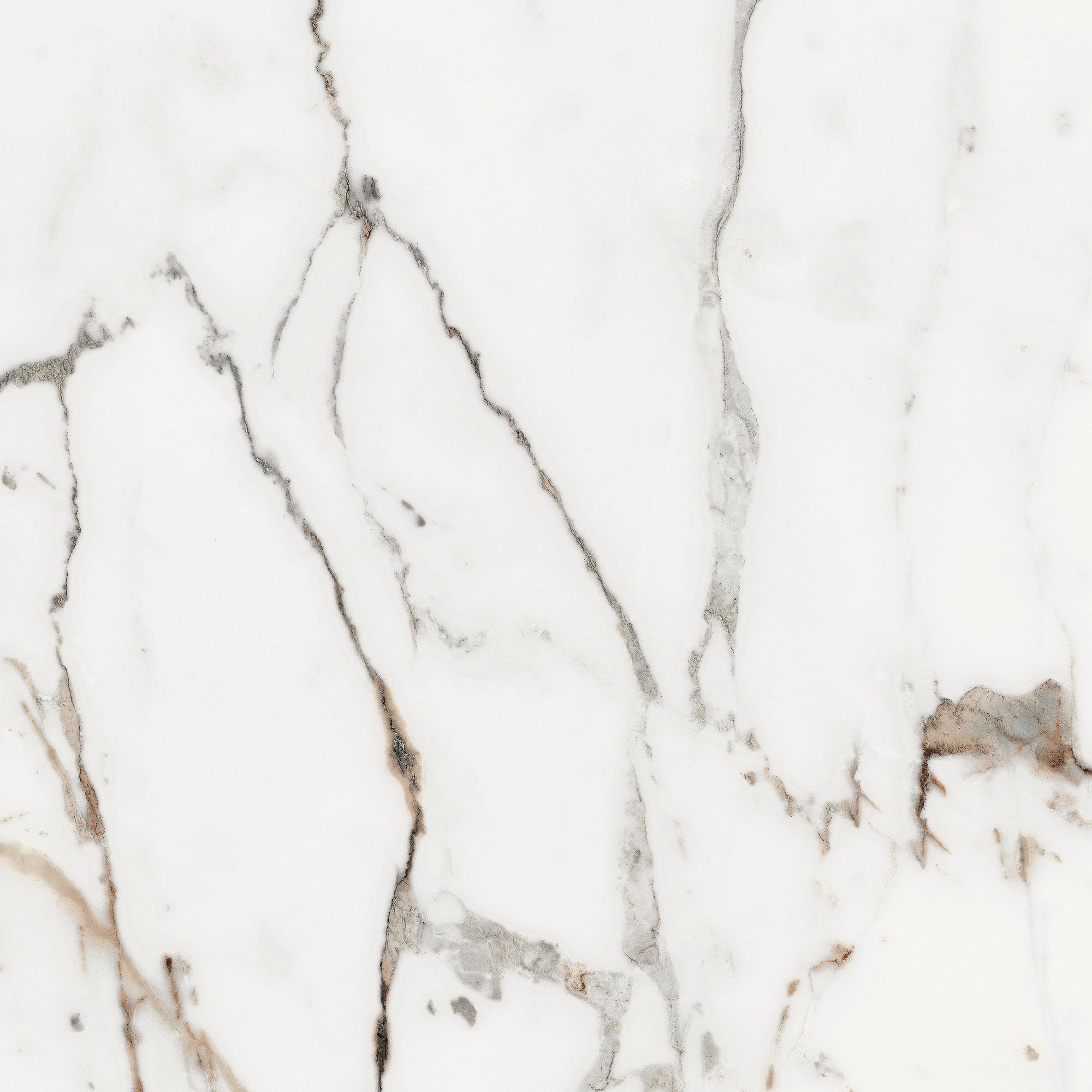 Florim Rex Origines De Rex Or Glossy 60X60 Rett 769842