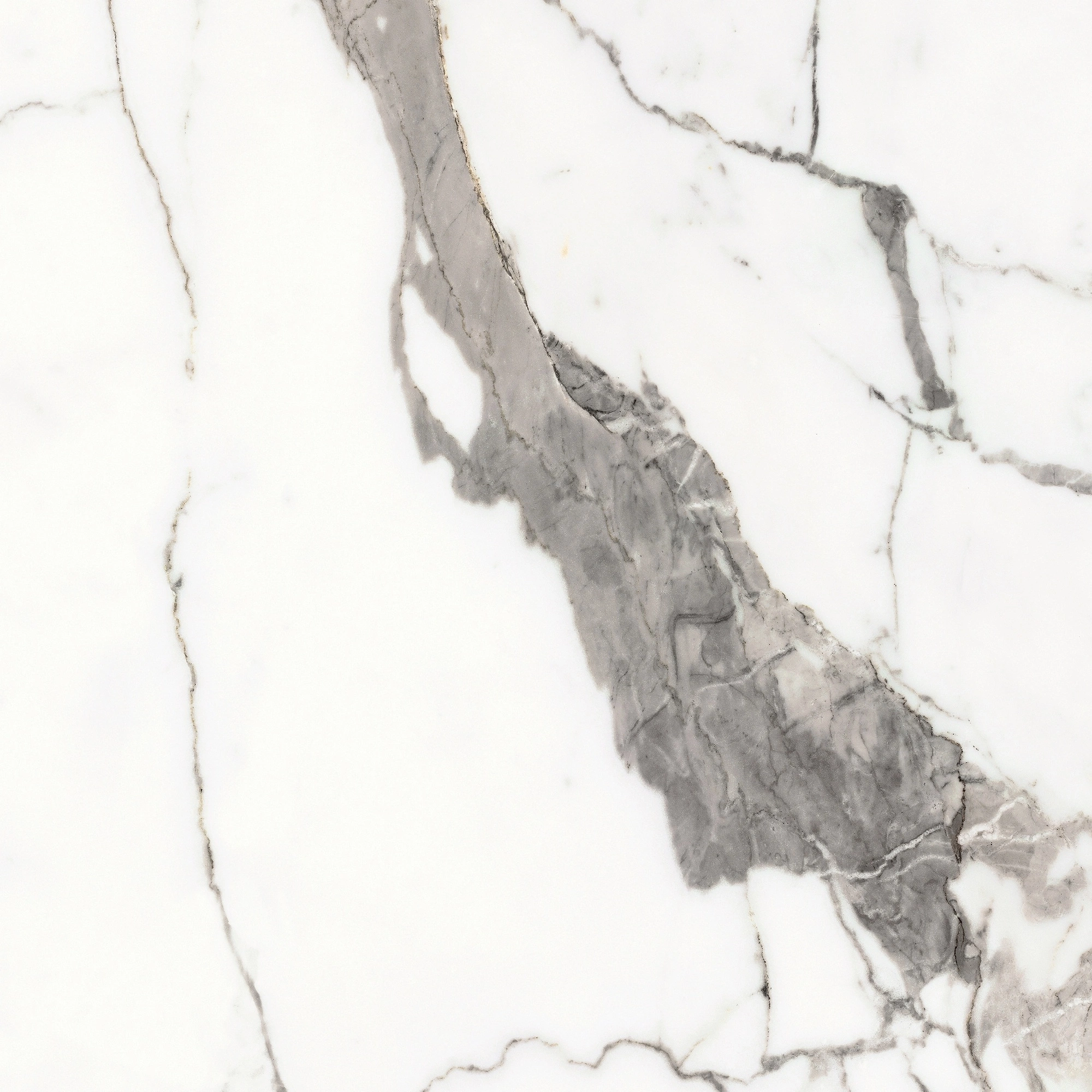 Florim Rex Origines De Rex Or Glossy 60X60 Rett 769842