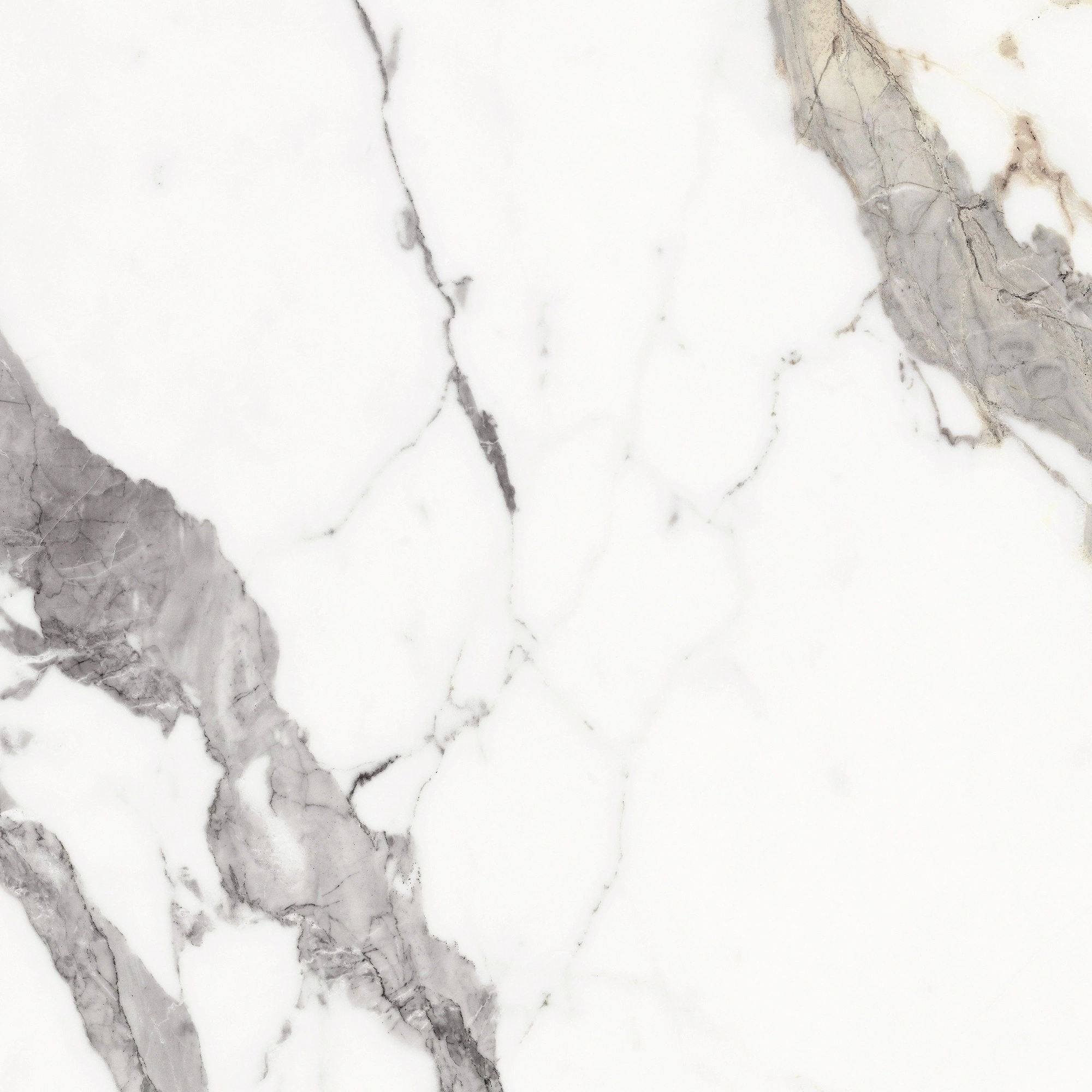 Florim Rex Origines De Rex Or Glossy 60X60 Rett 769842