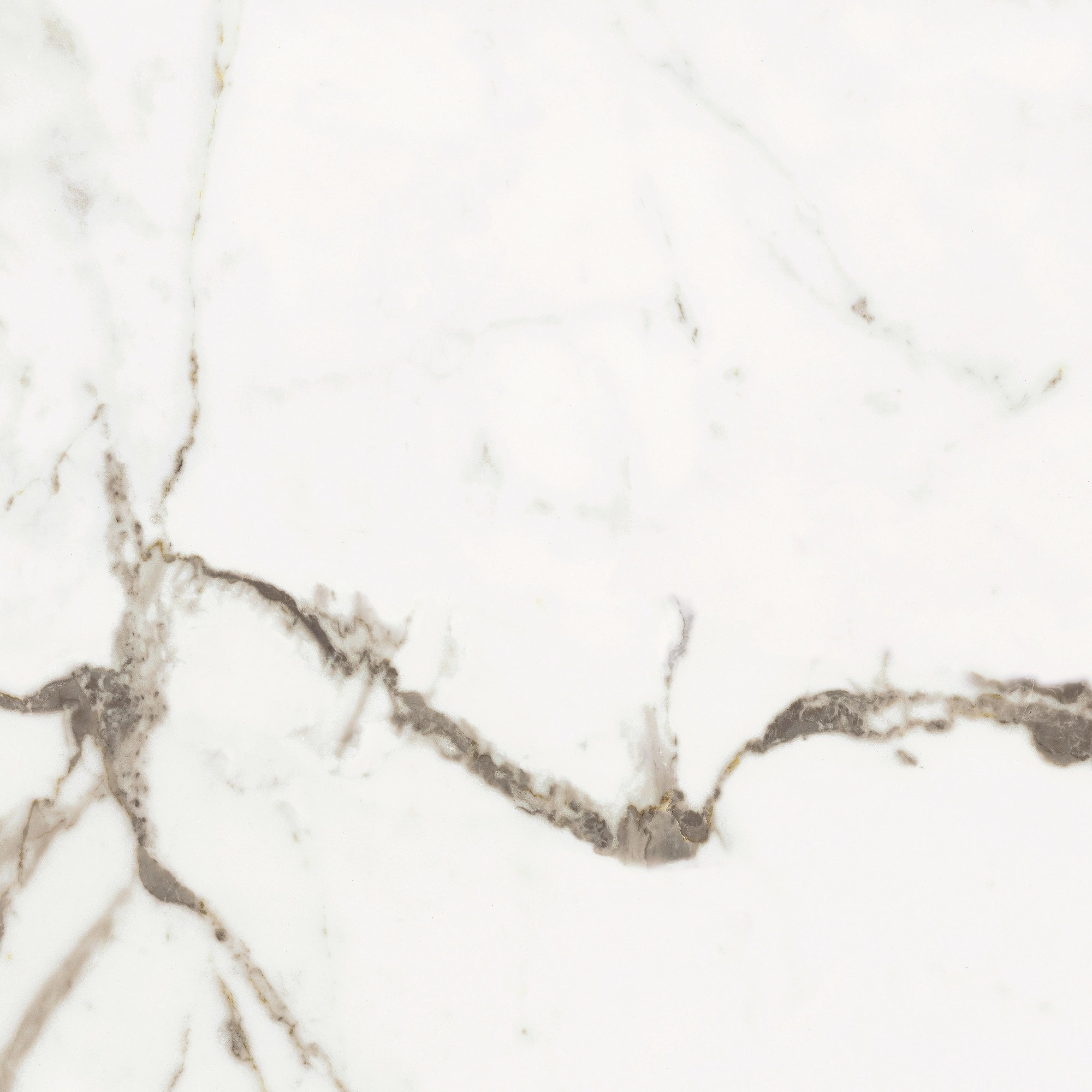 Florim Rex Origines De Rex Or Glossy 60X60 Rett 769842