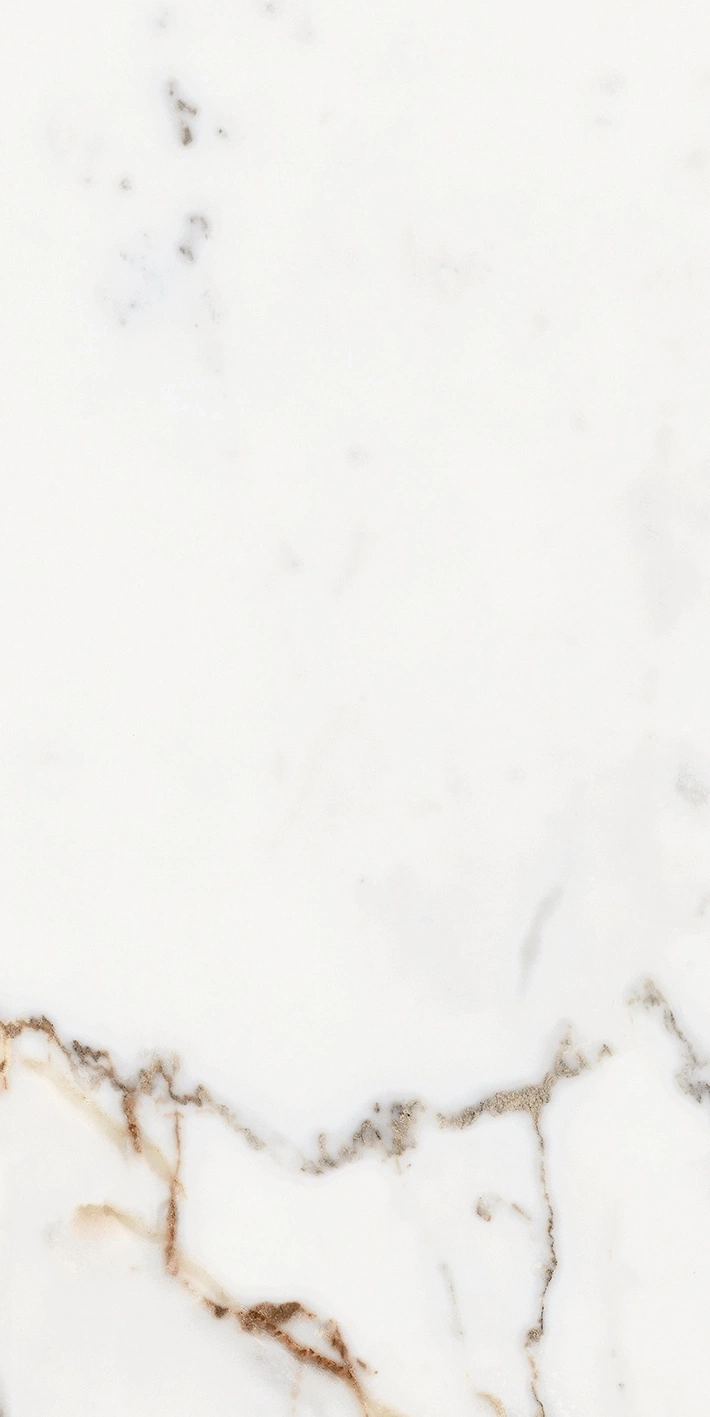 Florim Rex Origines De Rex Or Mat 6Mm 60X120 R 769982