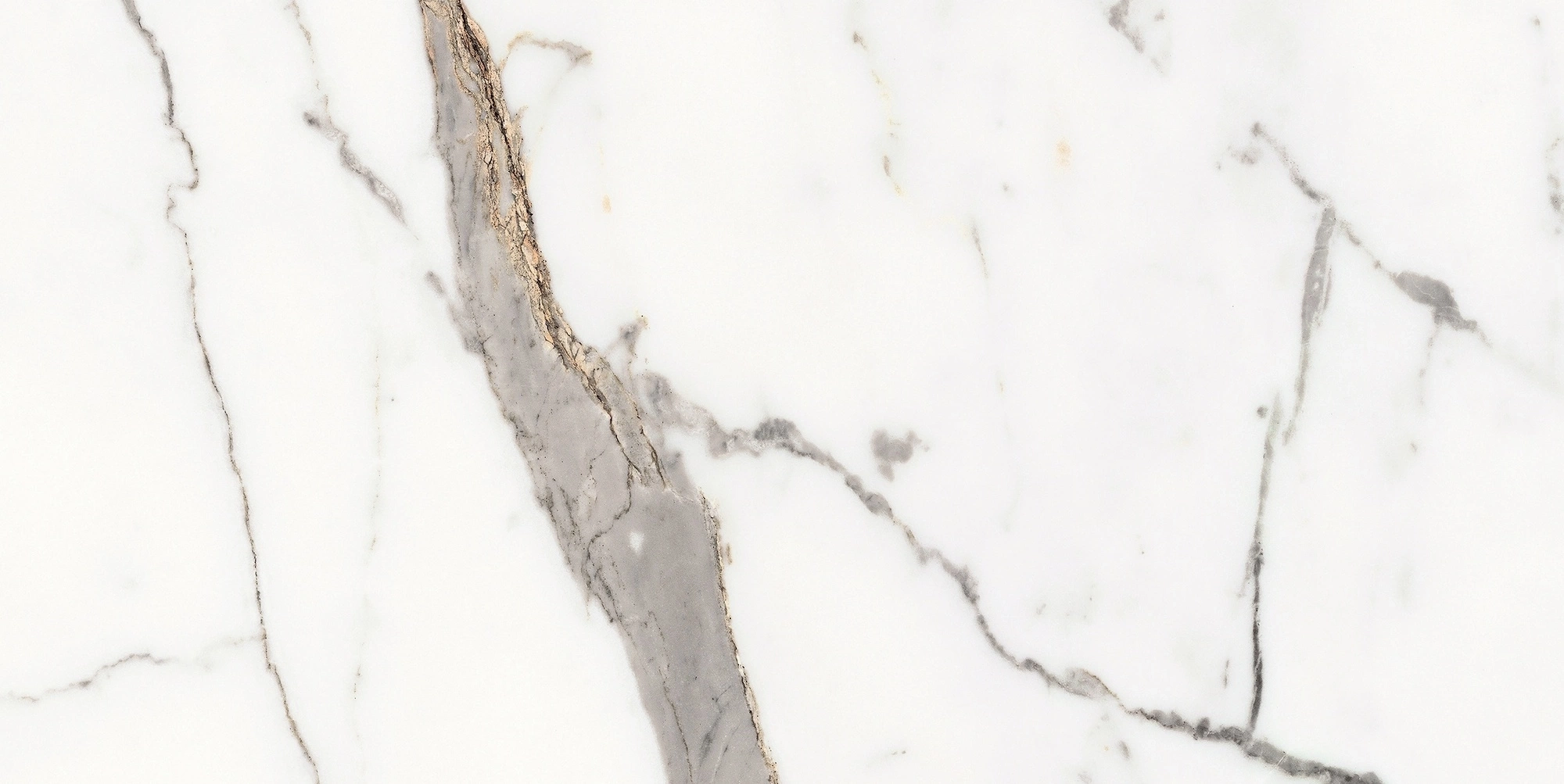 Florim Rex Origines De Rex Or Matte 30X60 Rett 769846