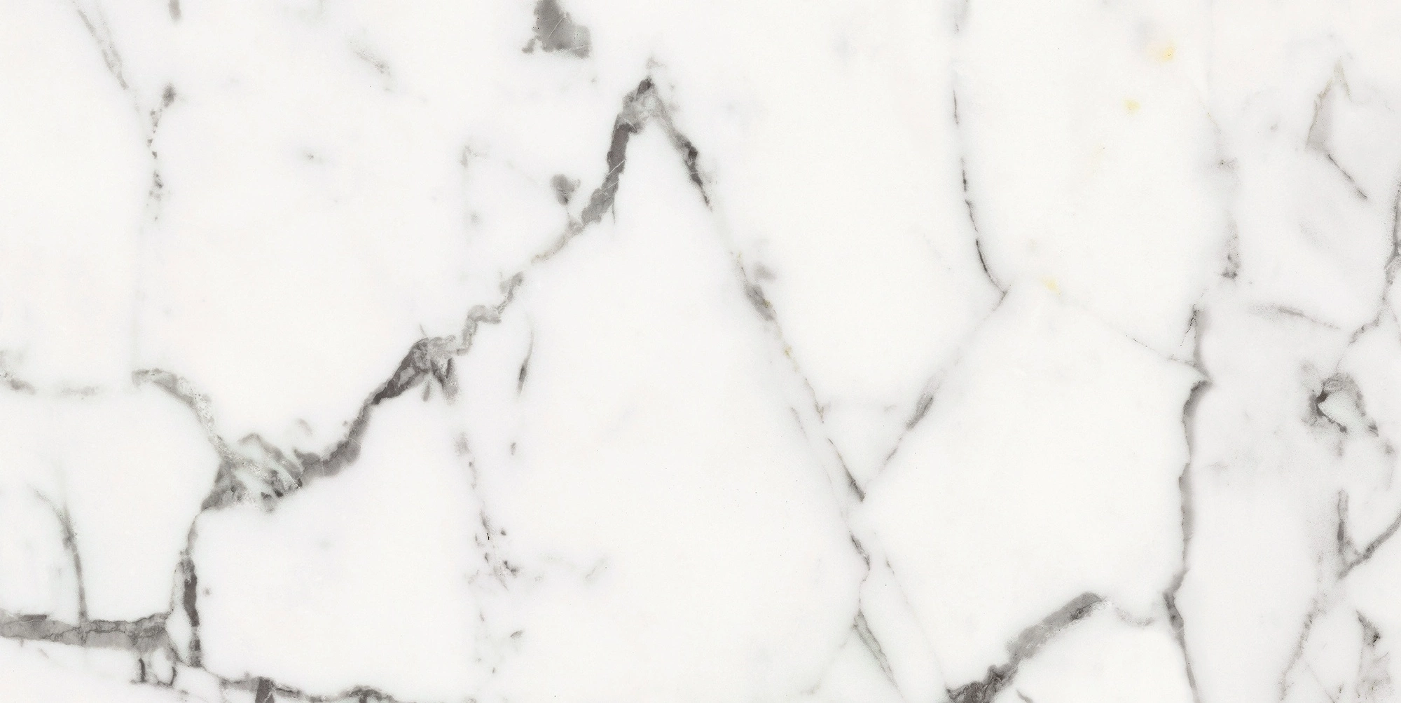 Florim Rex Origines De Rex Or Matte 30X60 Rett 769846