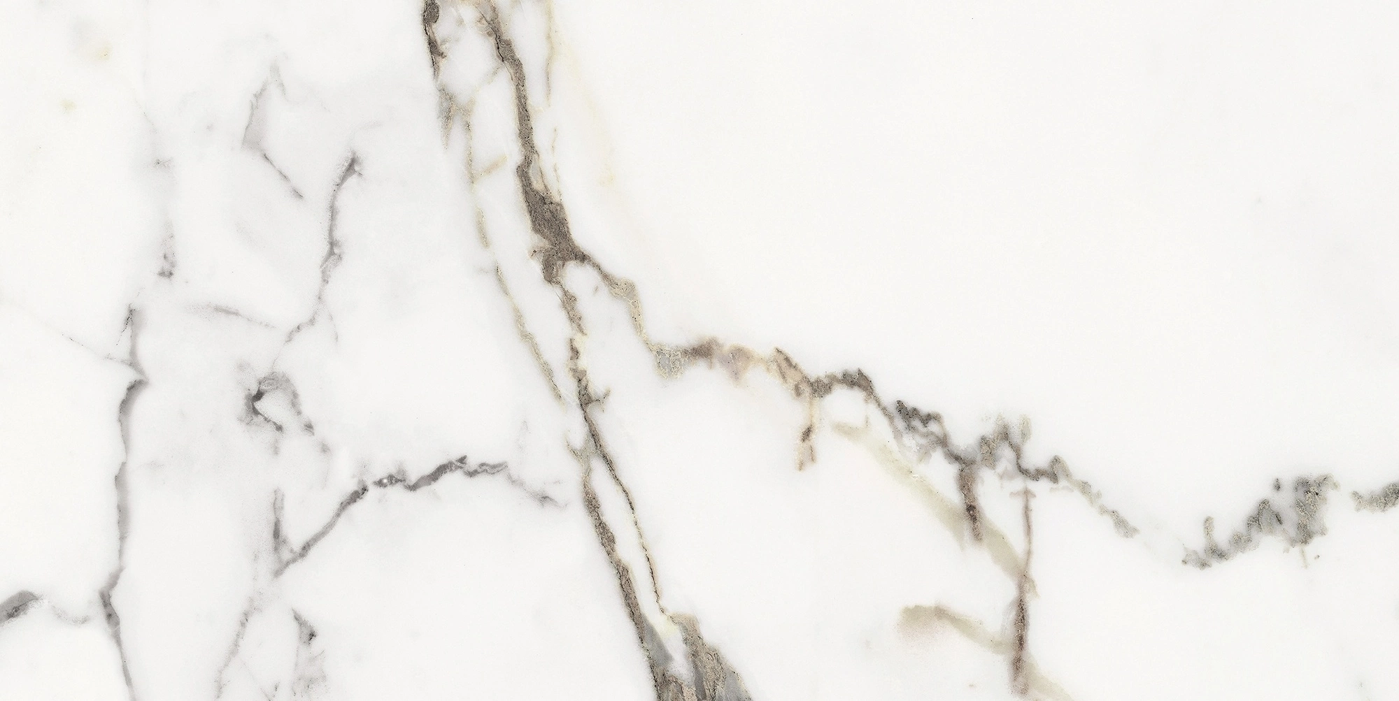 Florim Rex Origines De Rex Or Matte 30X60 Rett 769846