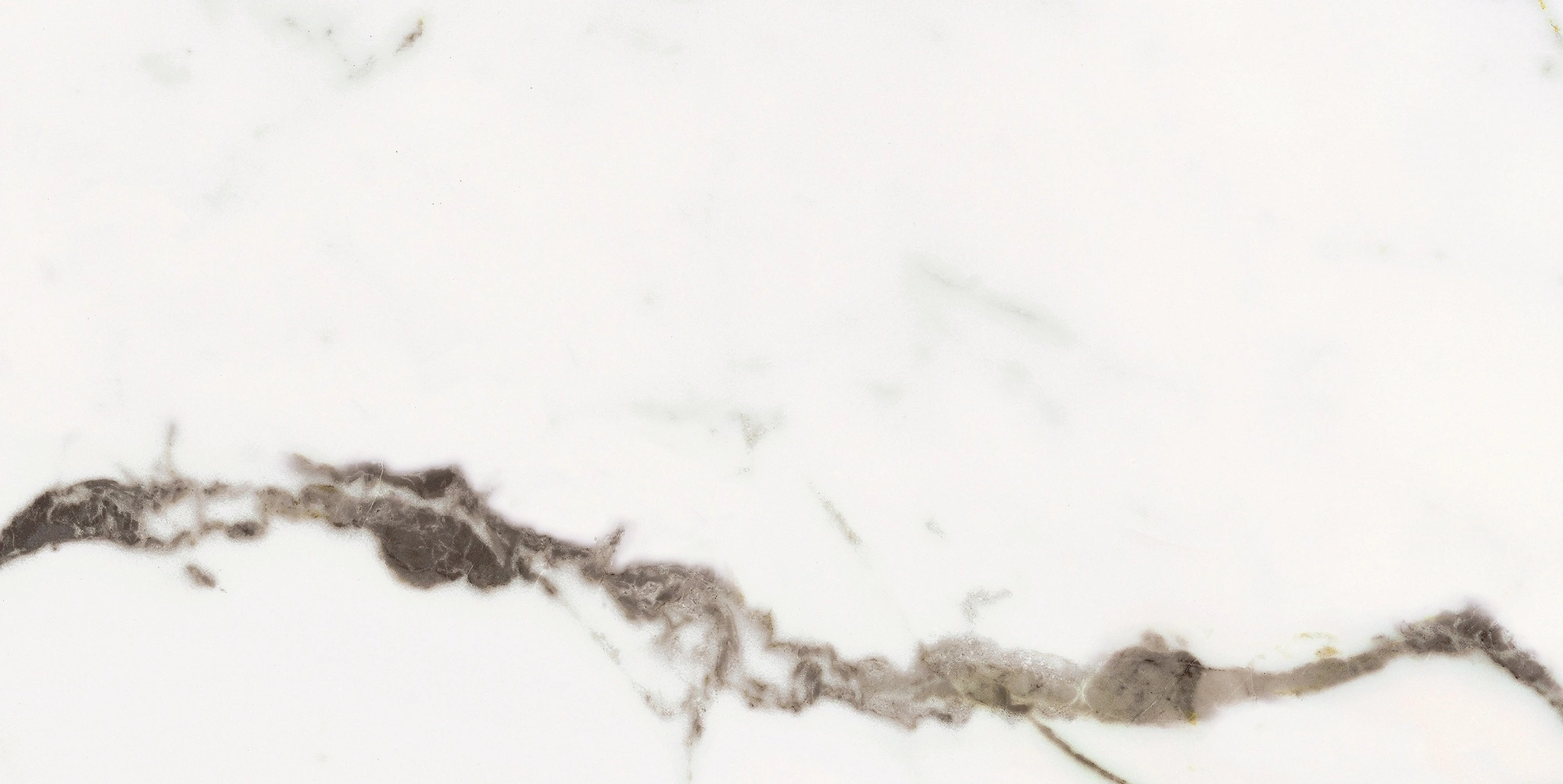 Florim Rex Origines De Rex Or Matte 30X60 Rett 769846