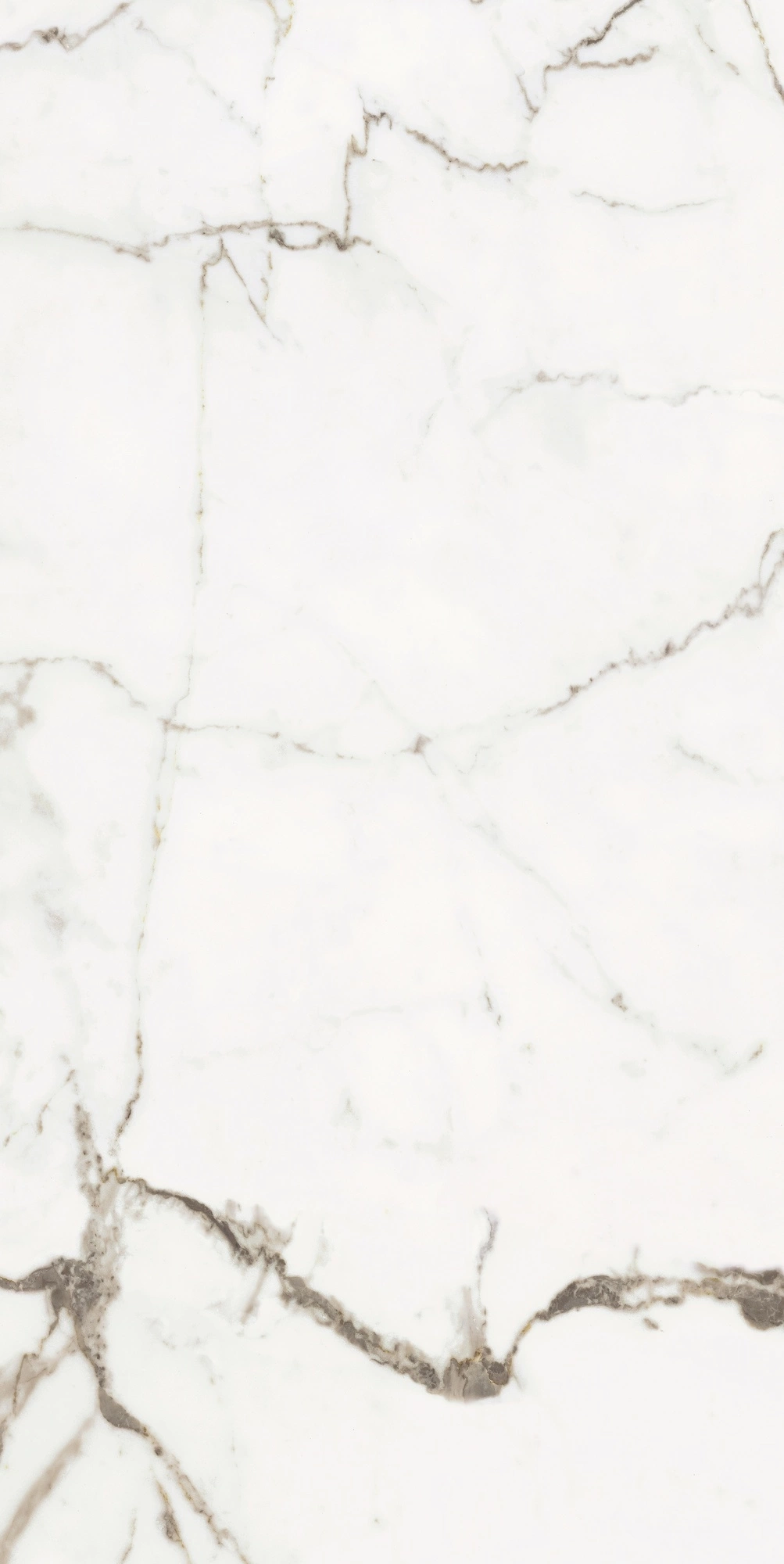 Florim Rex Origines De Rex Or Matte 60X120 Rett 769854