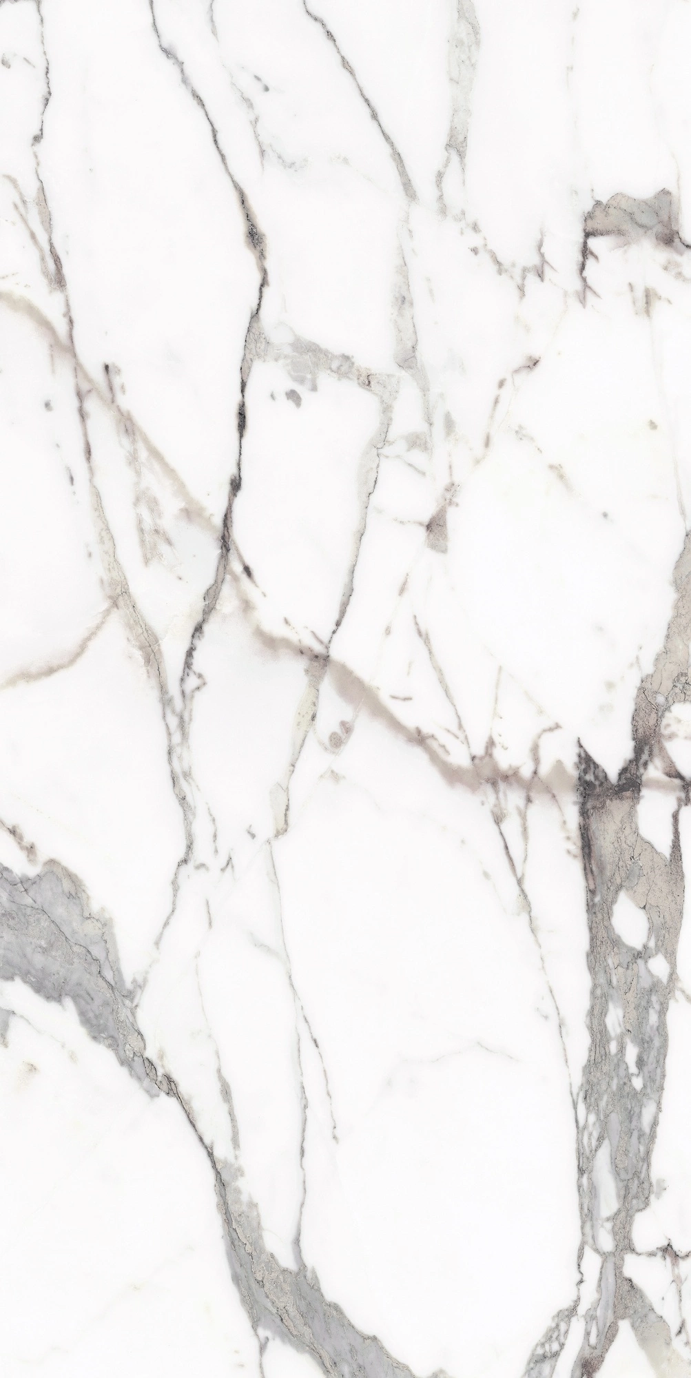 Florim Rex Origines De Rex Or Matte 60X120 Rett 769854