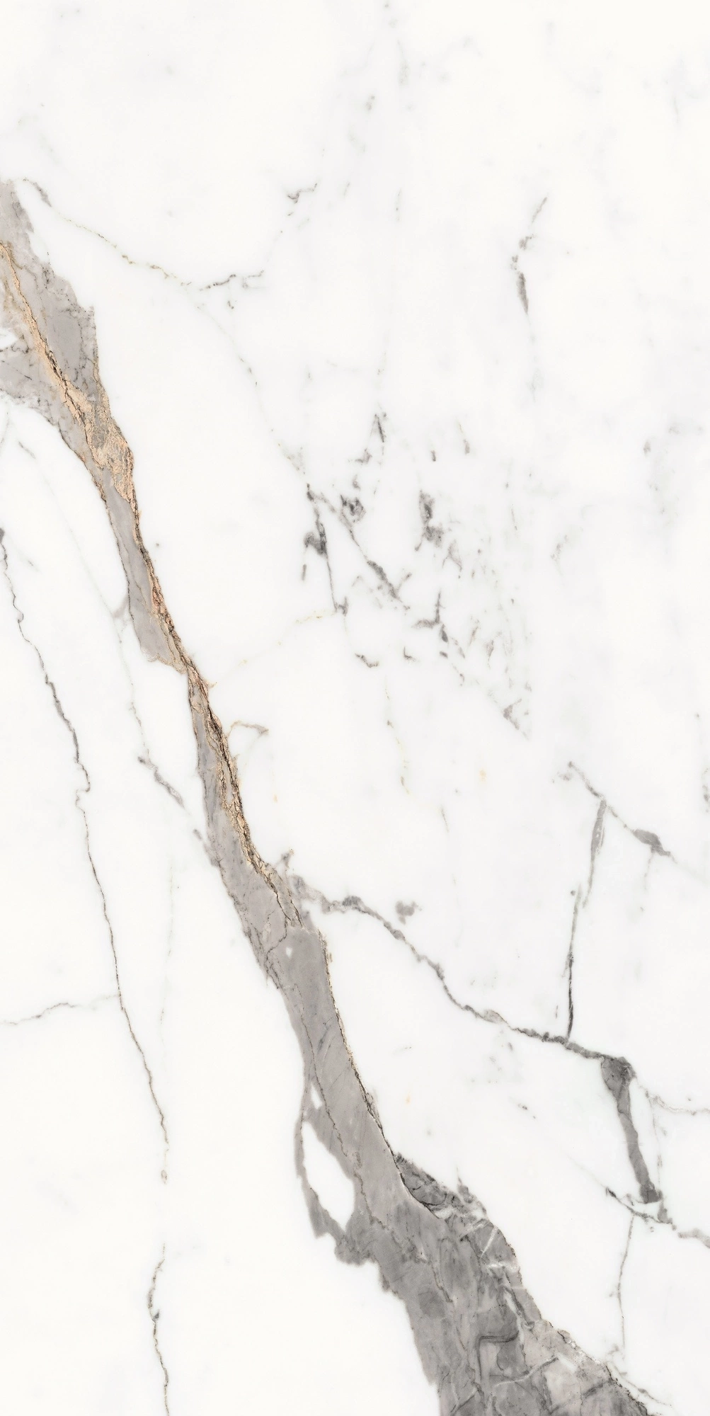 Florim Rex Origines De Rex Or Matte 60X120 Rett 769854