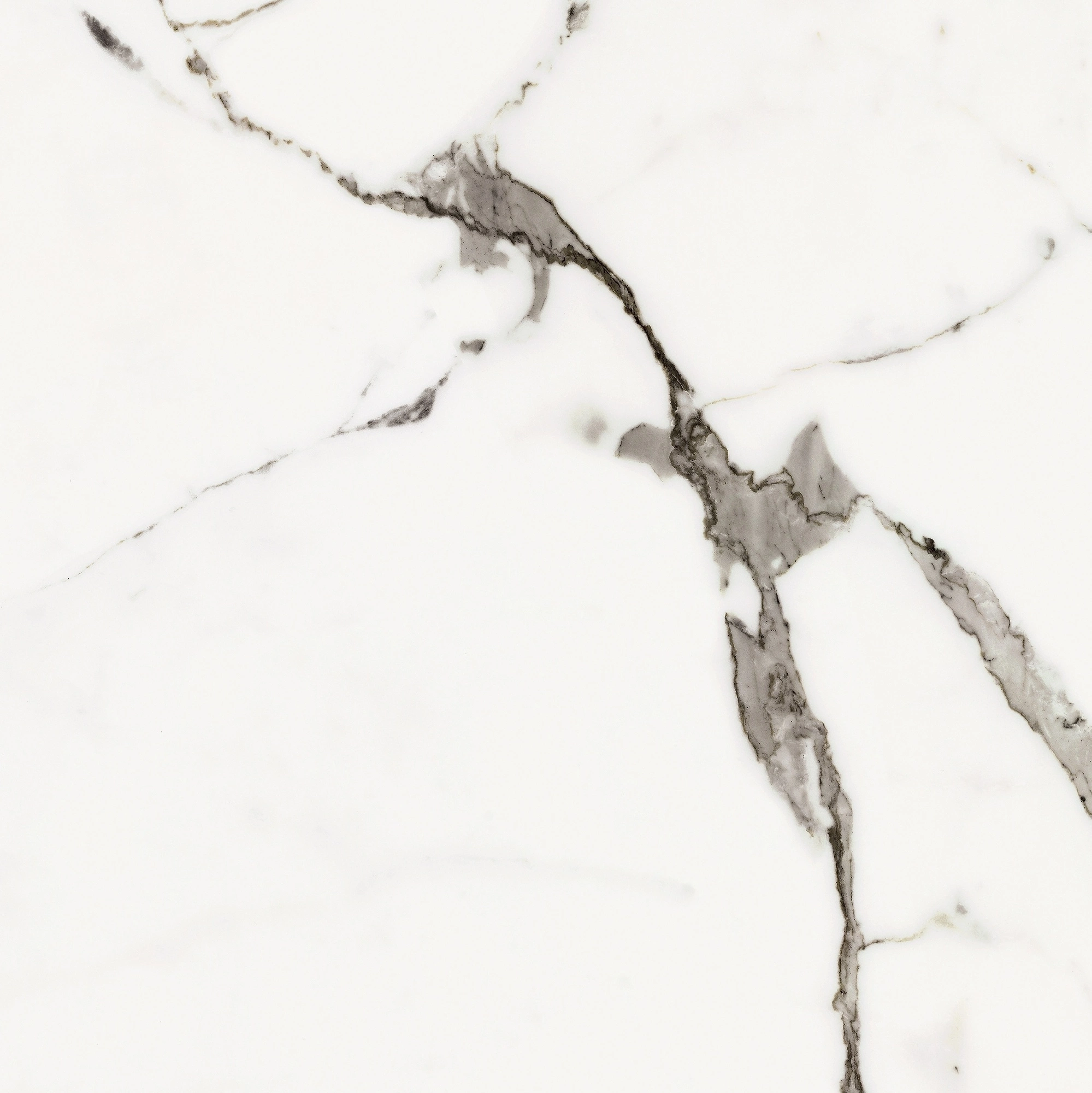 Florim Rex Origines De Rex Or Matte 60X60 Rett 769838