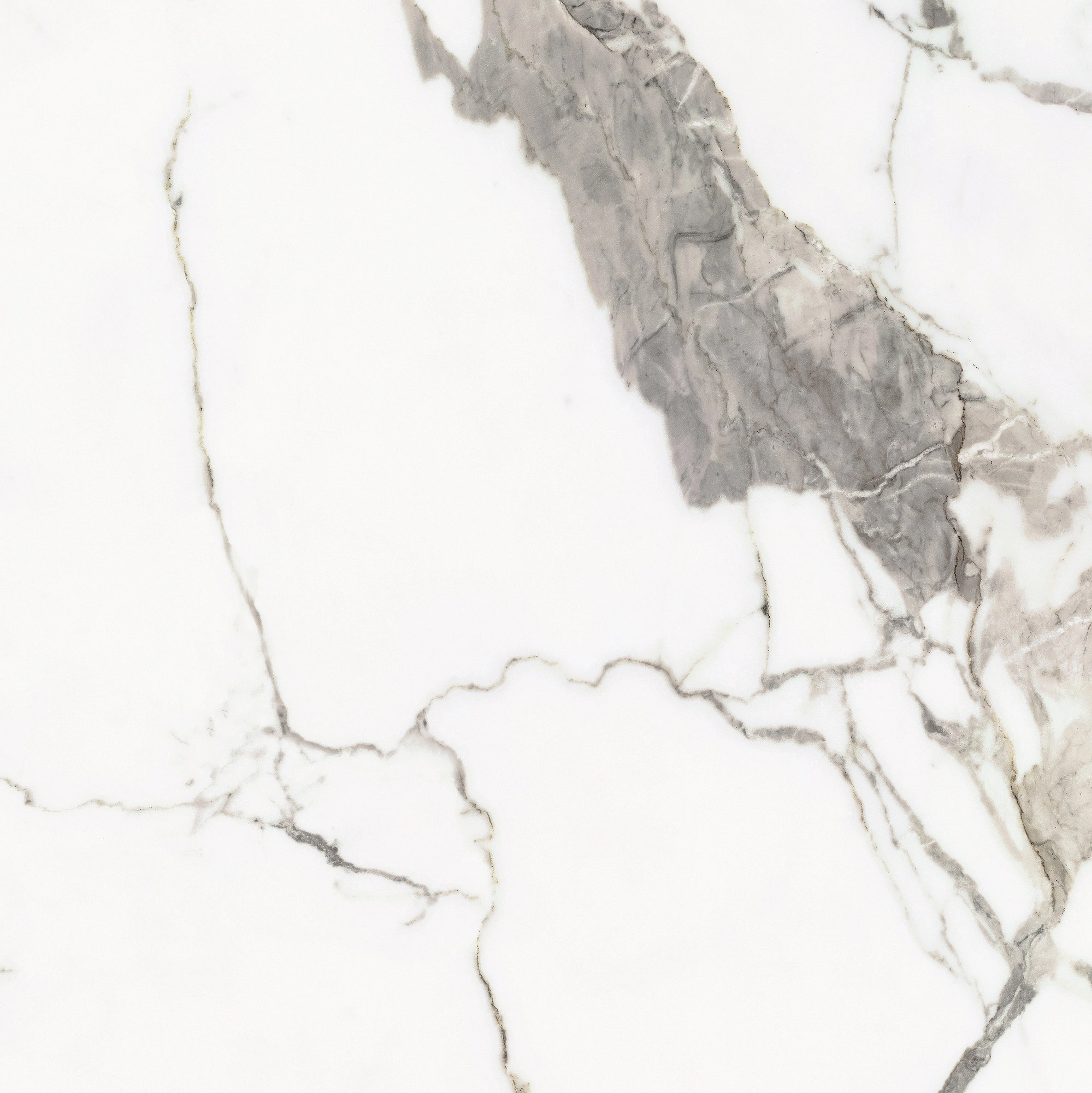 Florim Rex Origines De Rex Or Matte 60X60 Rett 769838