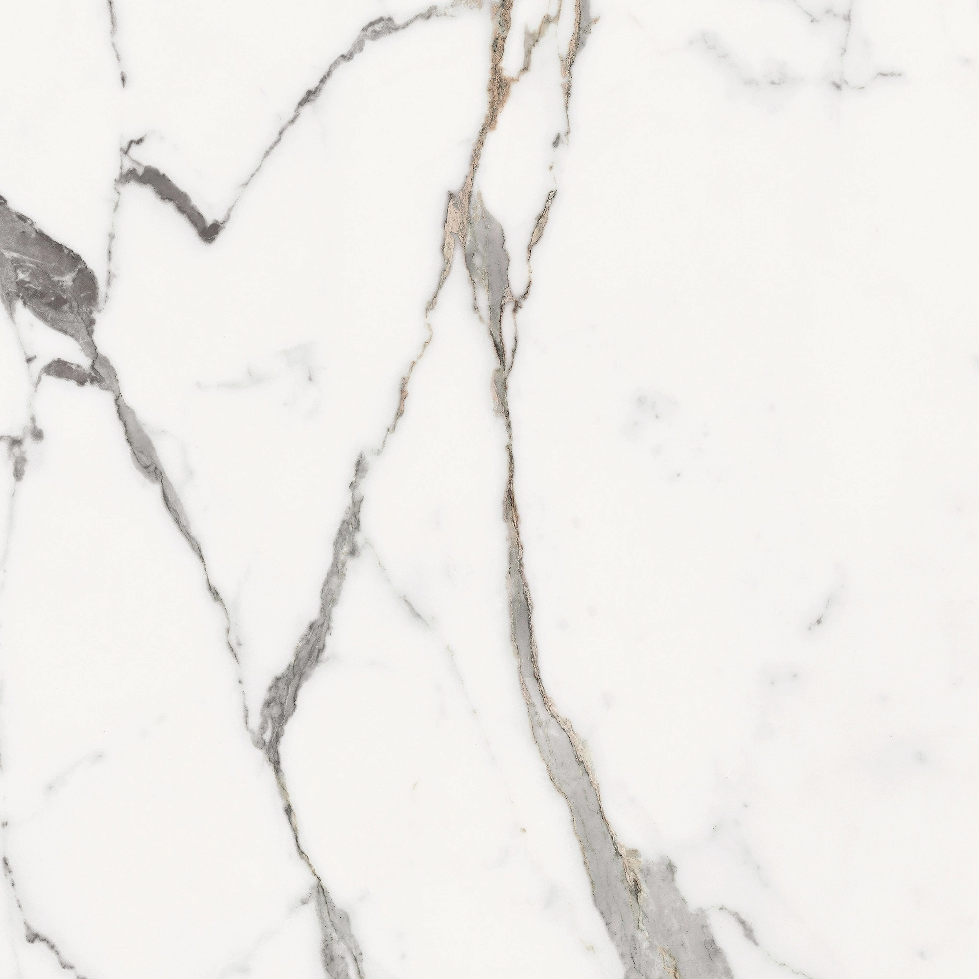 Florim Rex Origines De Rex Or Matte 60X60 Rett 769838