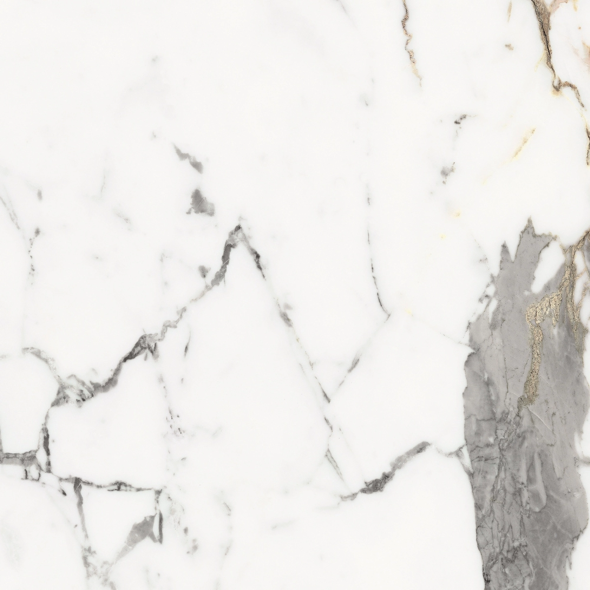 Florim Rex Origines De Rex Or Matte 60X60 Rett 769838