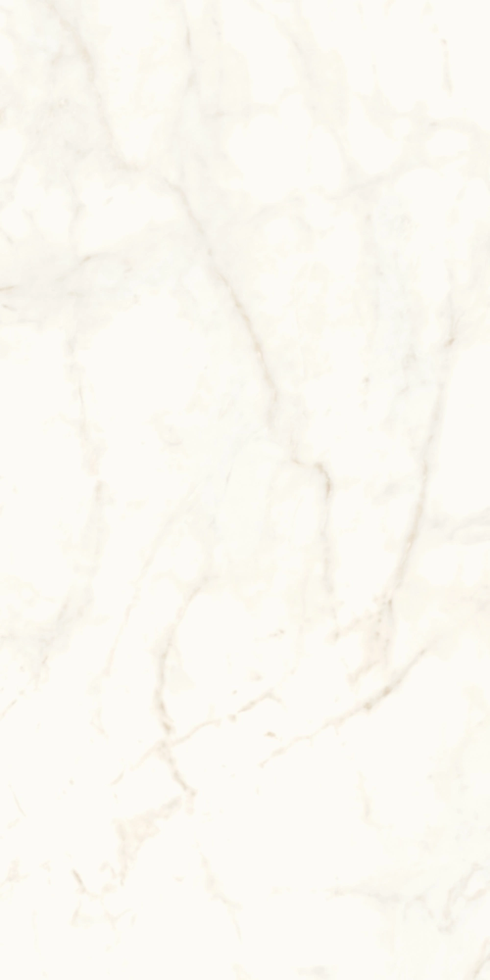 Atlas Concorde Marvel Calacatta Delicato 120X240 Lappato A4RH