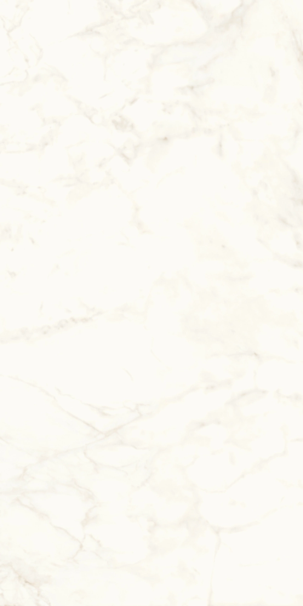 Atlas Concorde Marvel Calacatta Delicato 120X240 Lappato A4RH