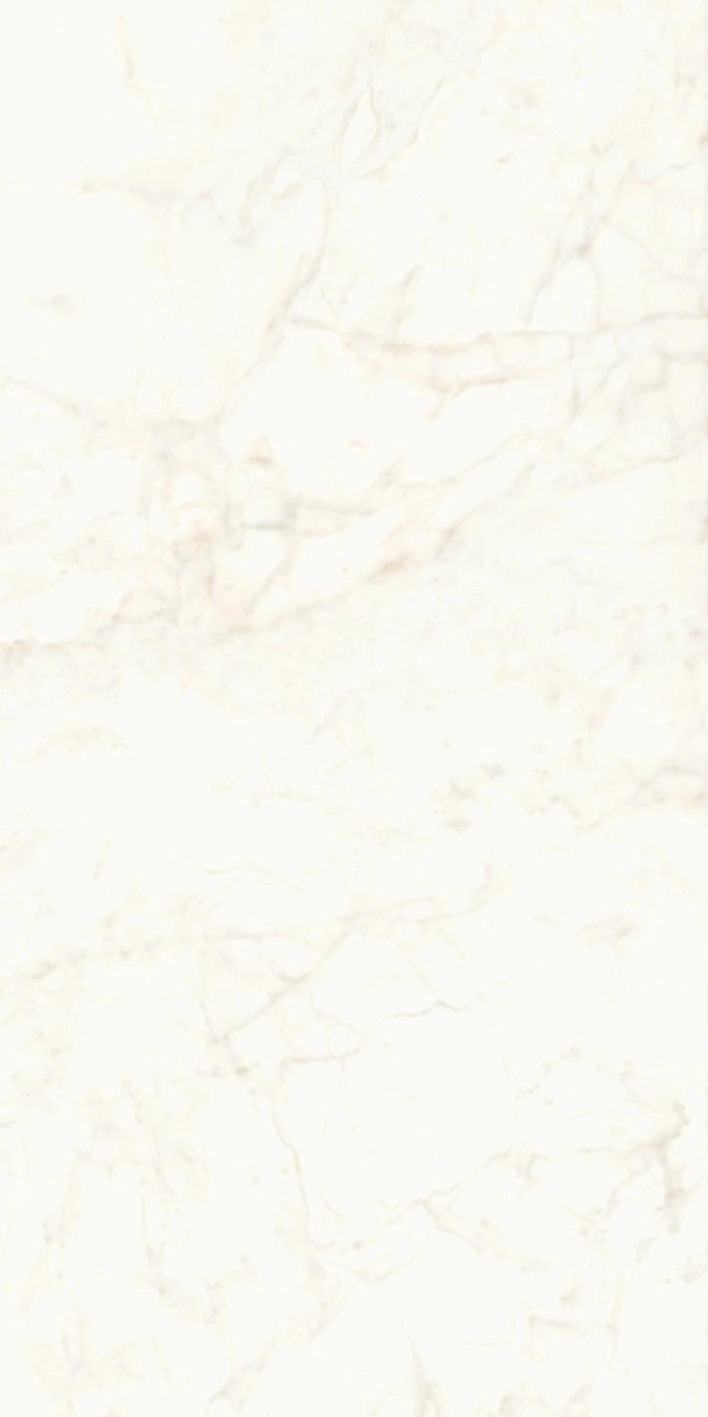 Atlas Concorde Marvel Calacatta Delicato 120X240 Lappato A4RH