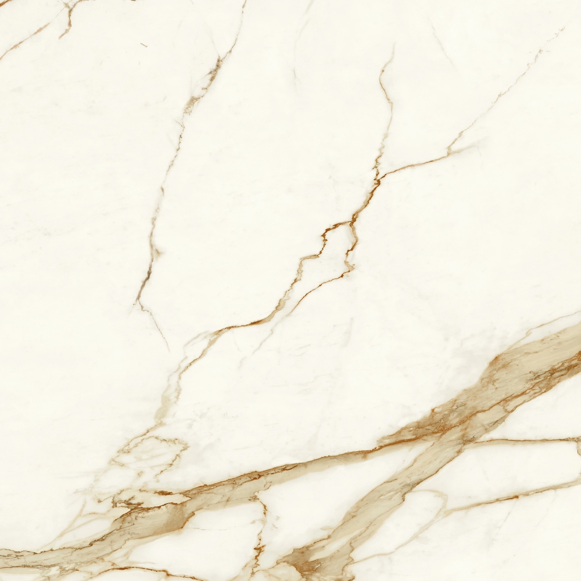 Atlas Concorde Marvel Calacatta Imperiale 120X120 Matt  A4Q7