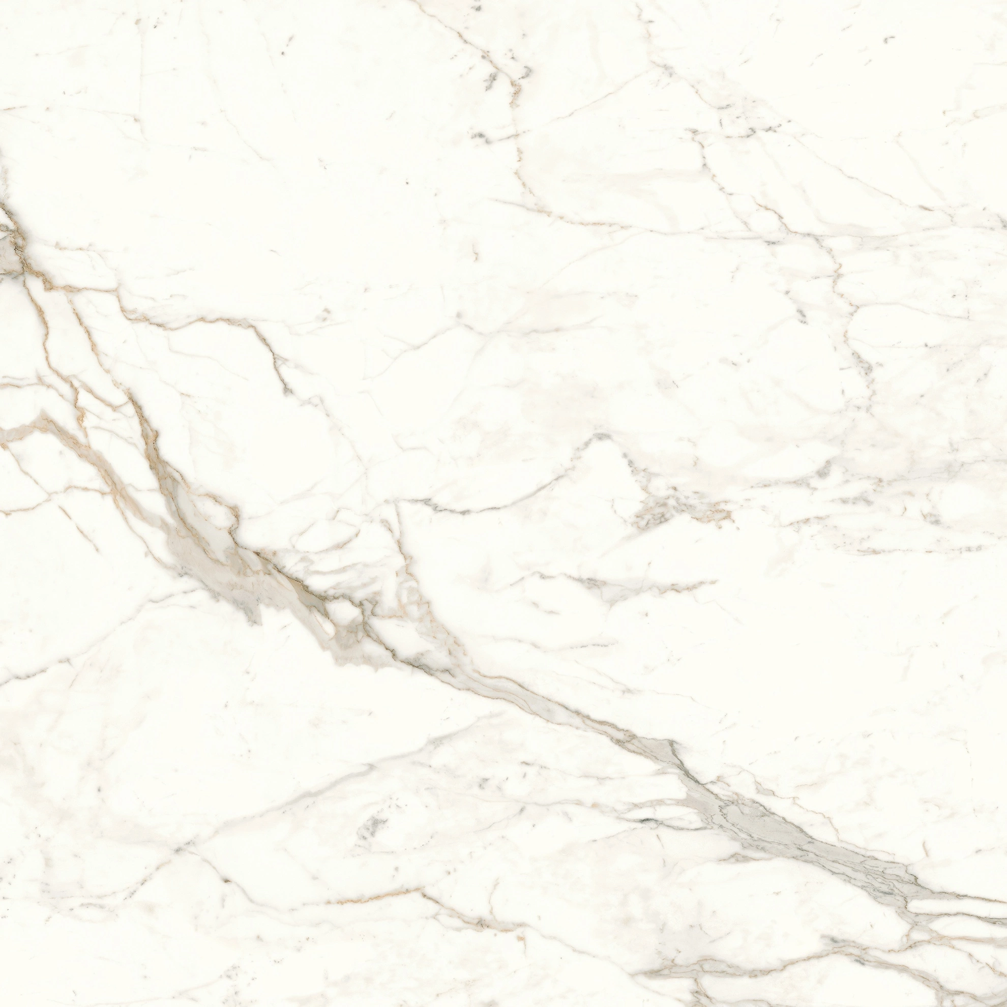 Atlas Concorde Marvel Calacatta Prestigio 120X120 Lappato  A4Q9