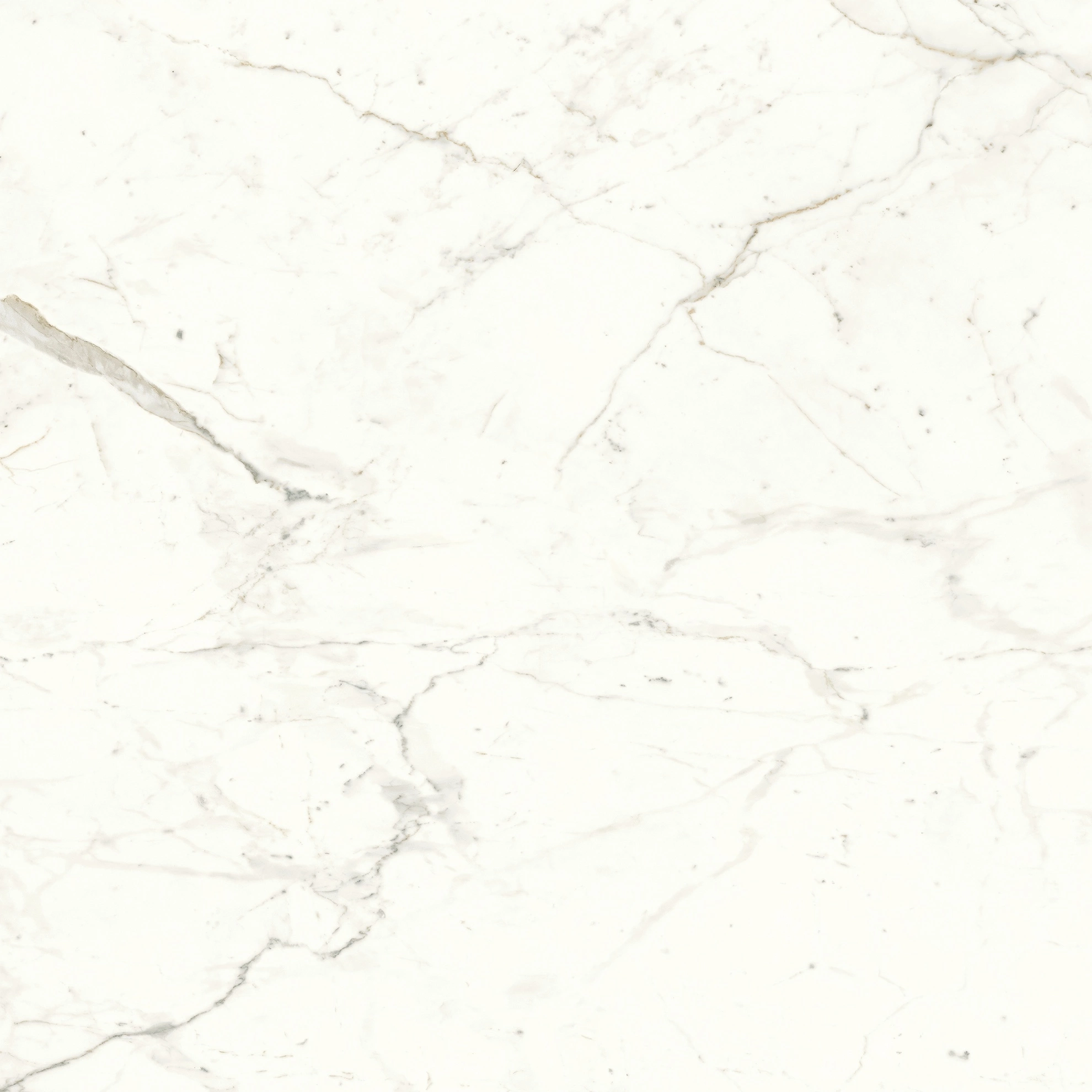 Atlas Concorde Marvel Calacatta Prestigio 120X120 Matt  A4Q5