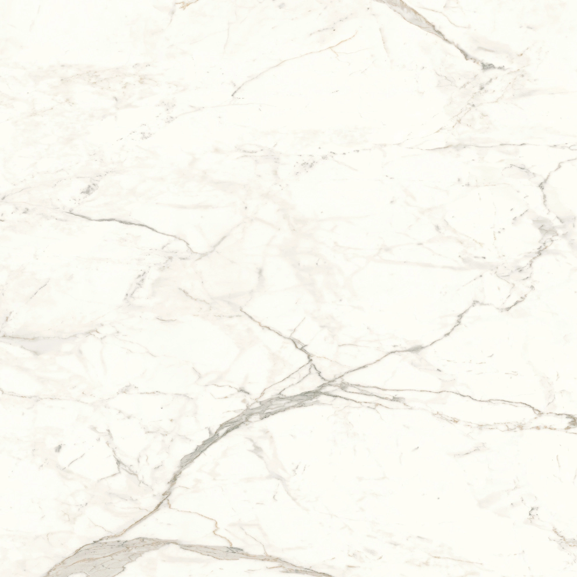 Atlas Concorde Marvel Calacatta Prestigio 120X120 Matt  A4Q5