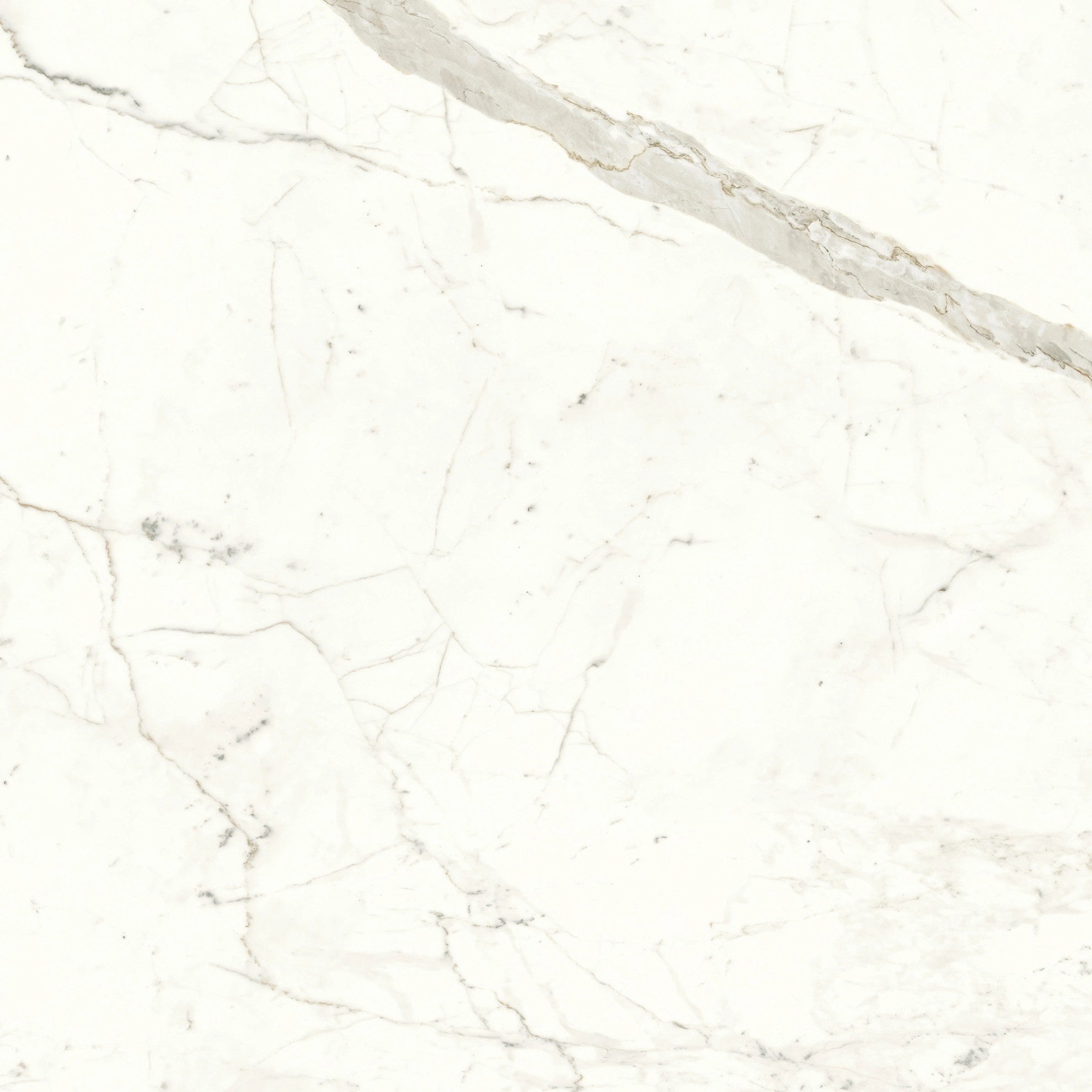 Atlas Concorde Marvel Calacatta Prestigio 120X120 Matt  A4Q5