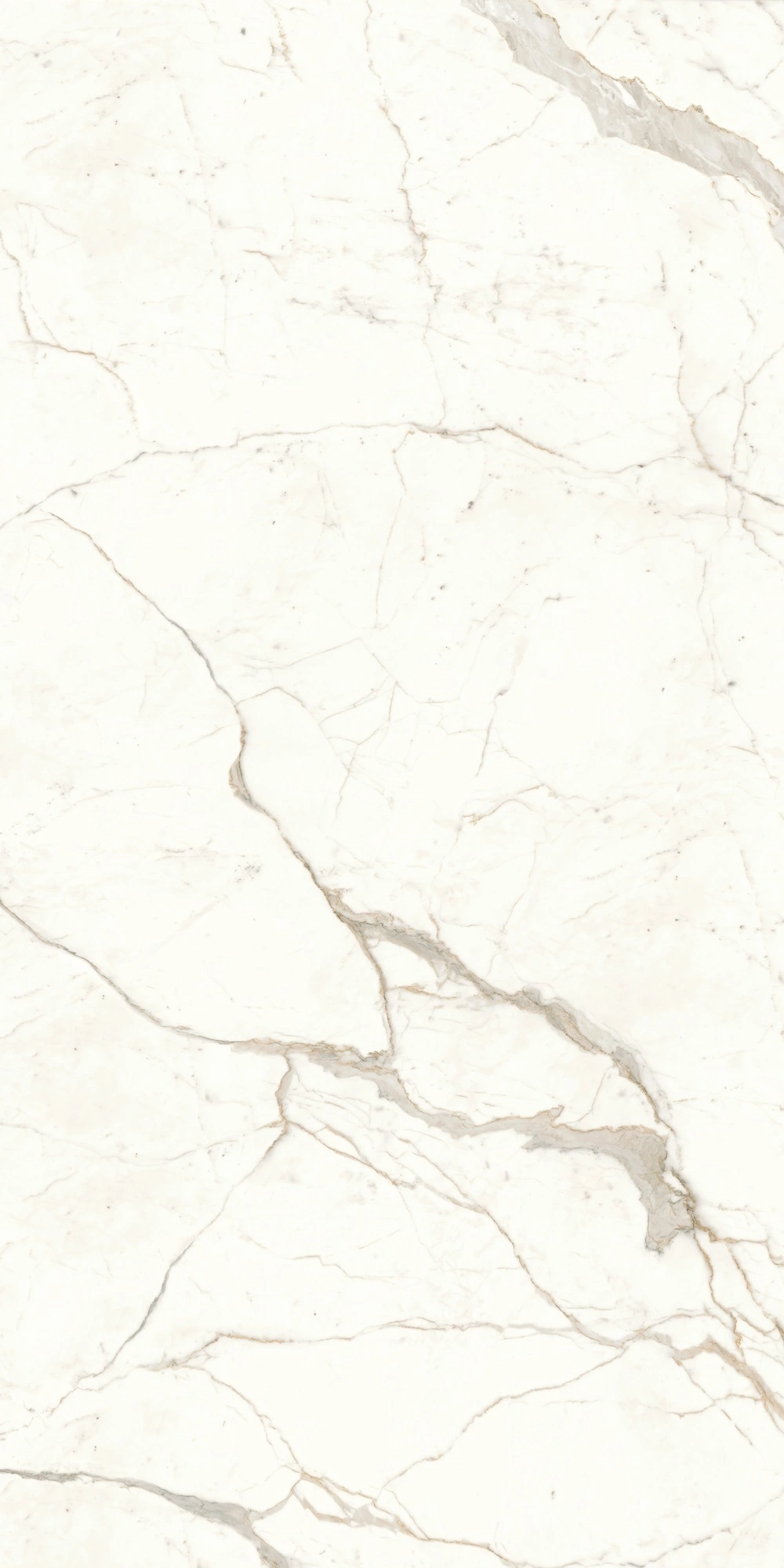 Atlas Concorde Marvel Calacatta Prestigio 120X240 Lappato A4RI