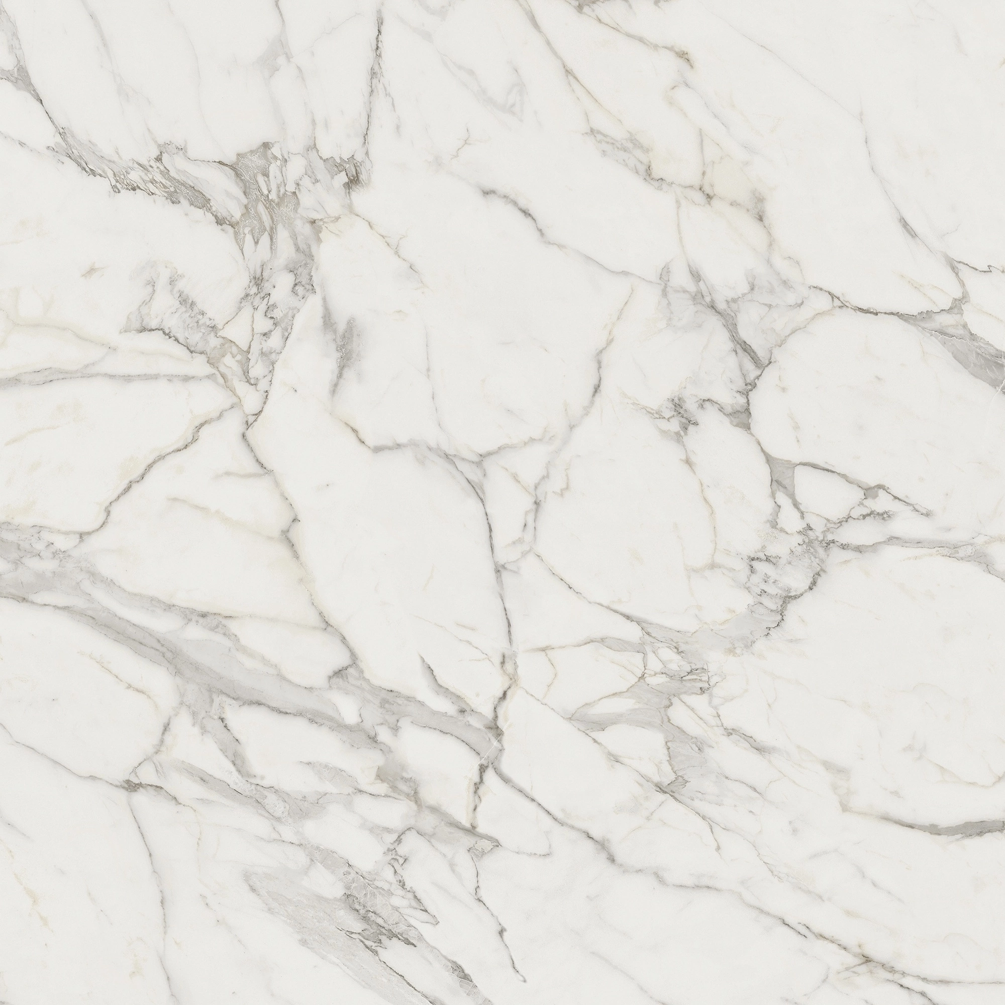 Atlas Concorde Marvel Calacatta Extra 120X120 A20Y