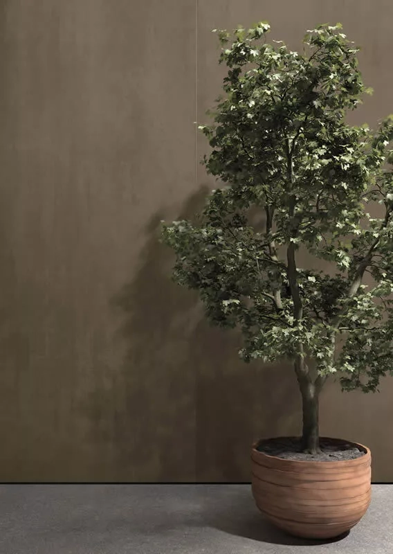 Kronos Brune Oxyde Rettificato ME087