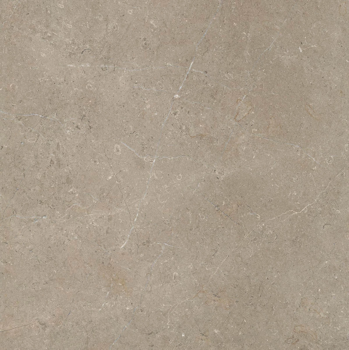 Marazzi Limestone Taupe Rt M7E5